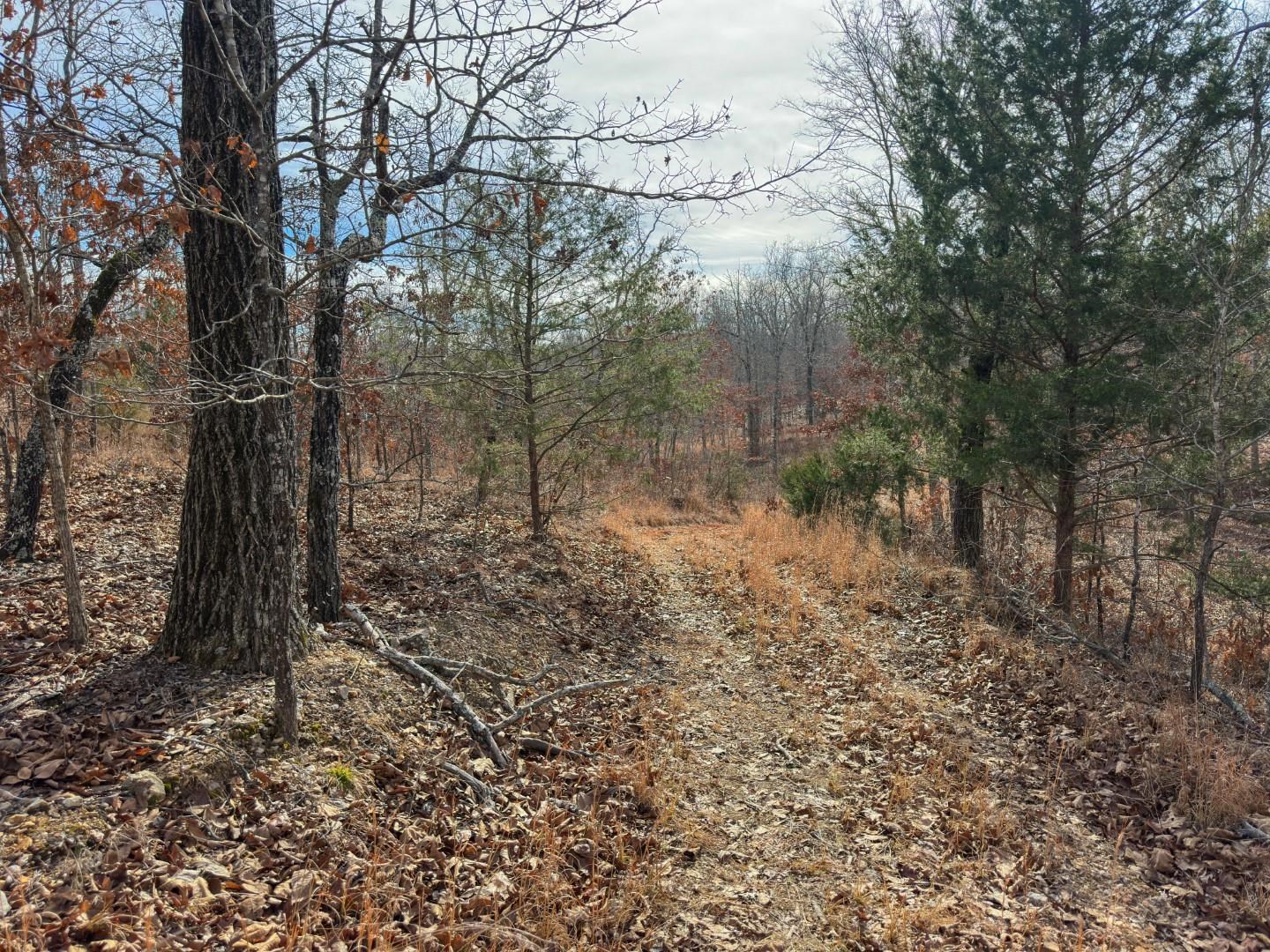 XX Liberty Hill  Hardy, AR