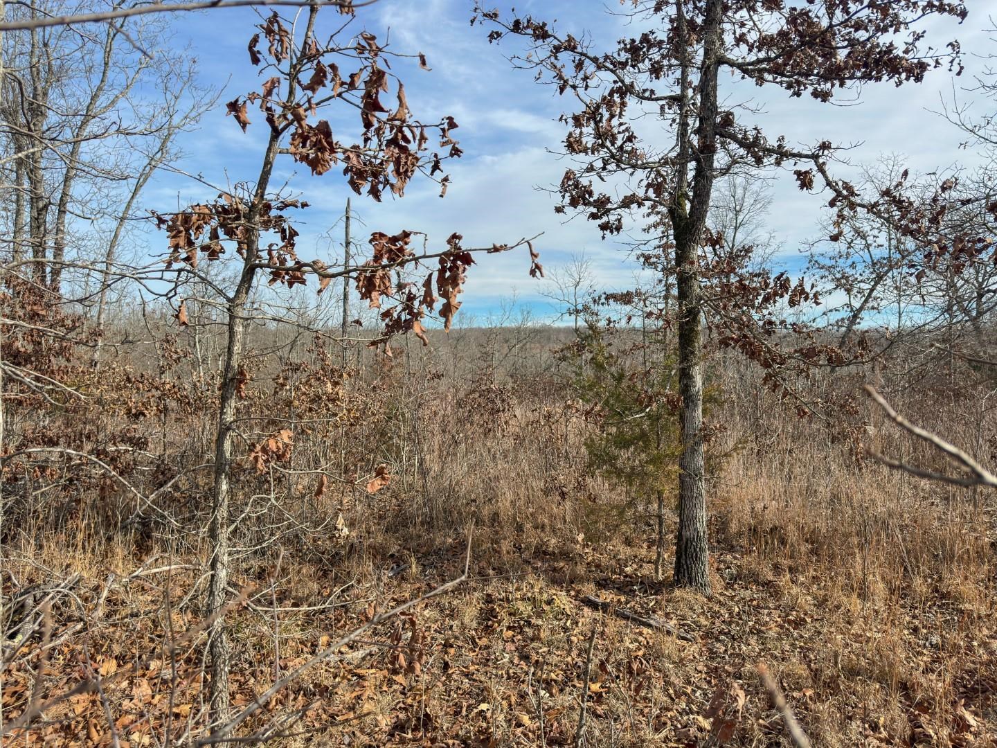 XX Liberty Hill  Hardy, AR