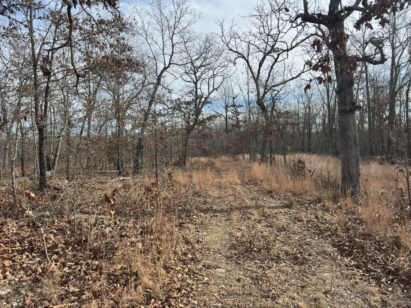 XX Liberty Hill  Hardy, AR