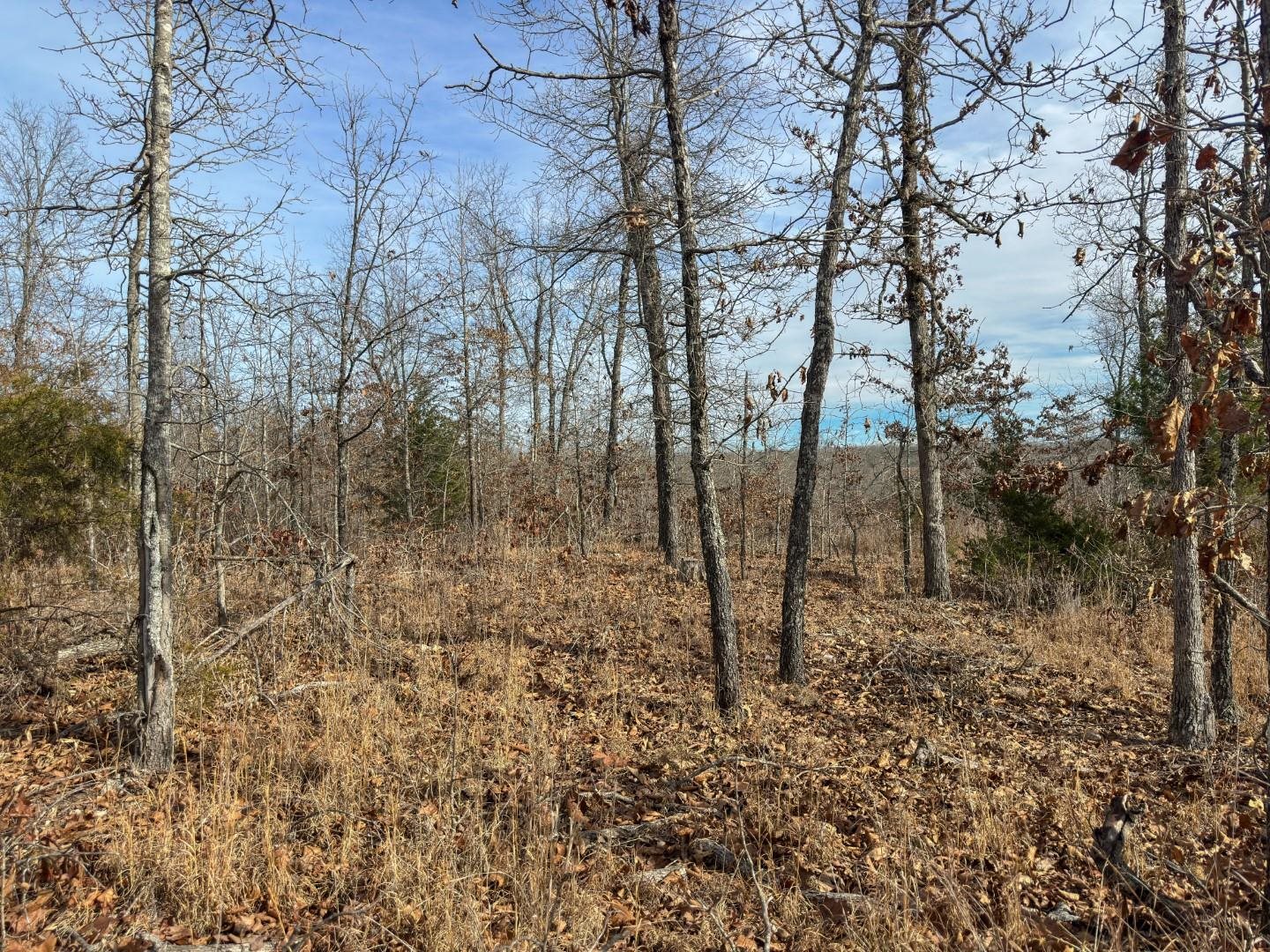 XX Liberty Hill  Hardy, AR