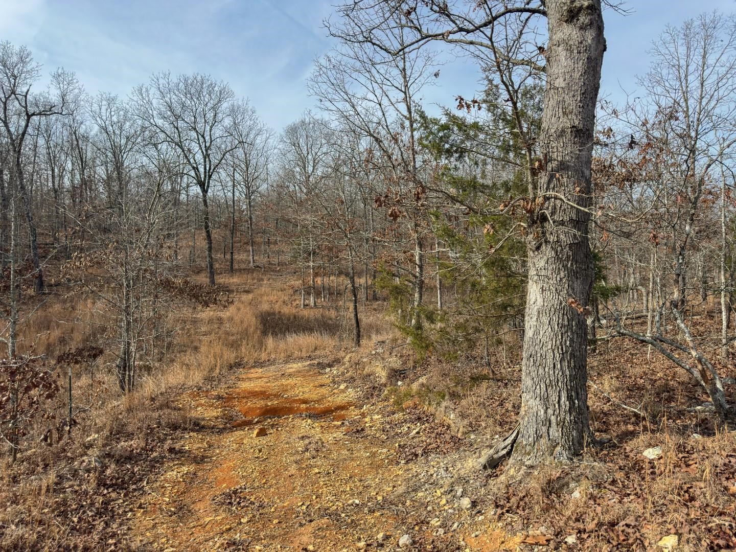 XX Liberty Hill  Hardy, AR