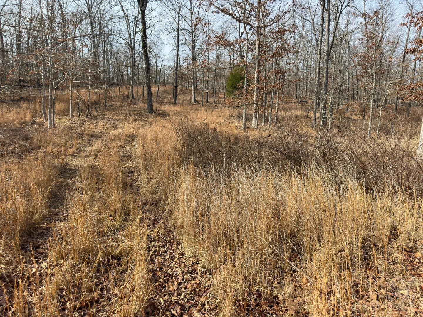 XX Liberty Hill  Hardy, AR