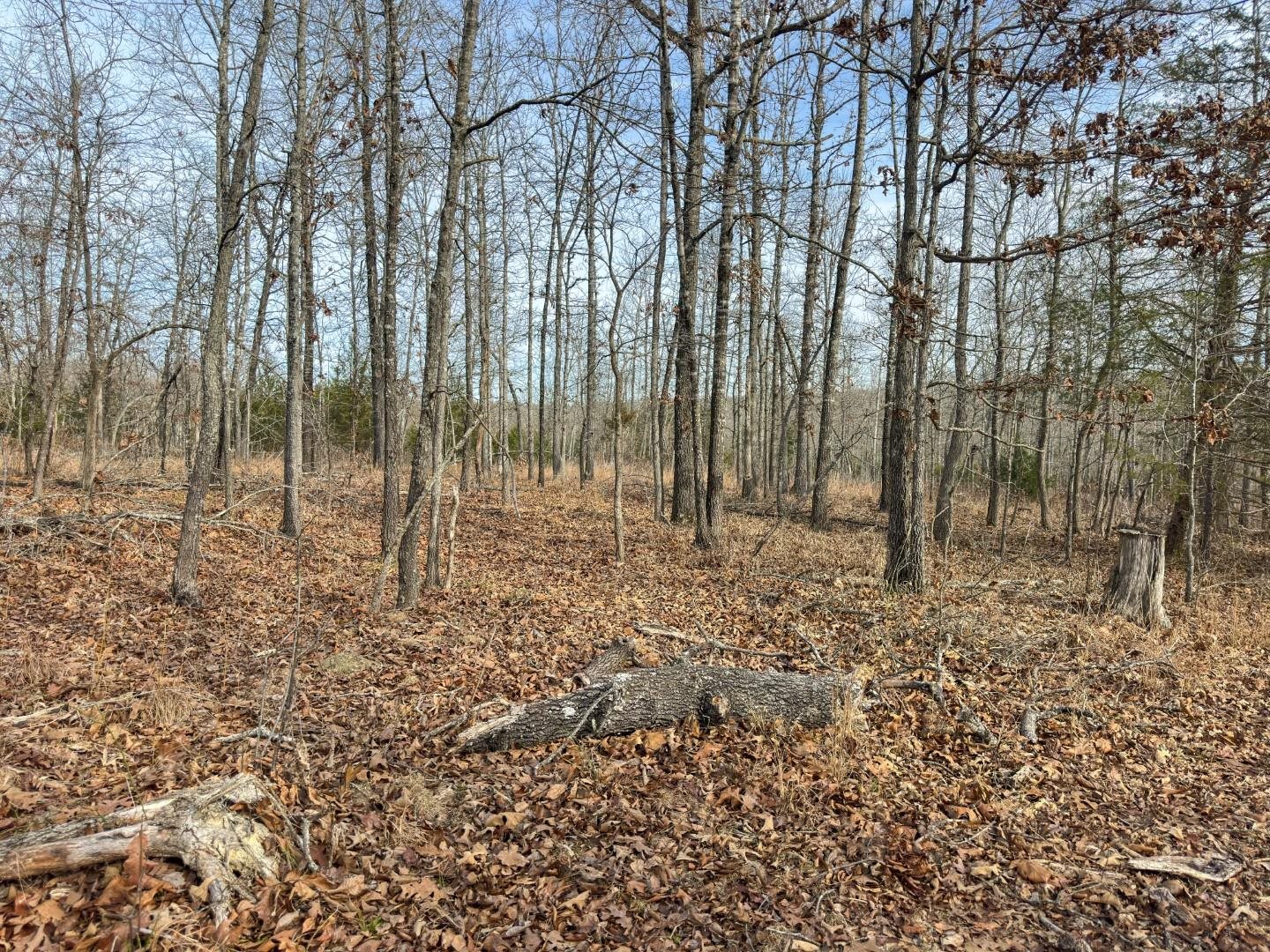 XX Liberty Hill  Hardy, AR