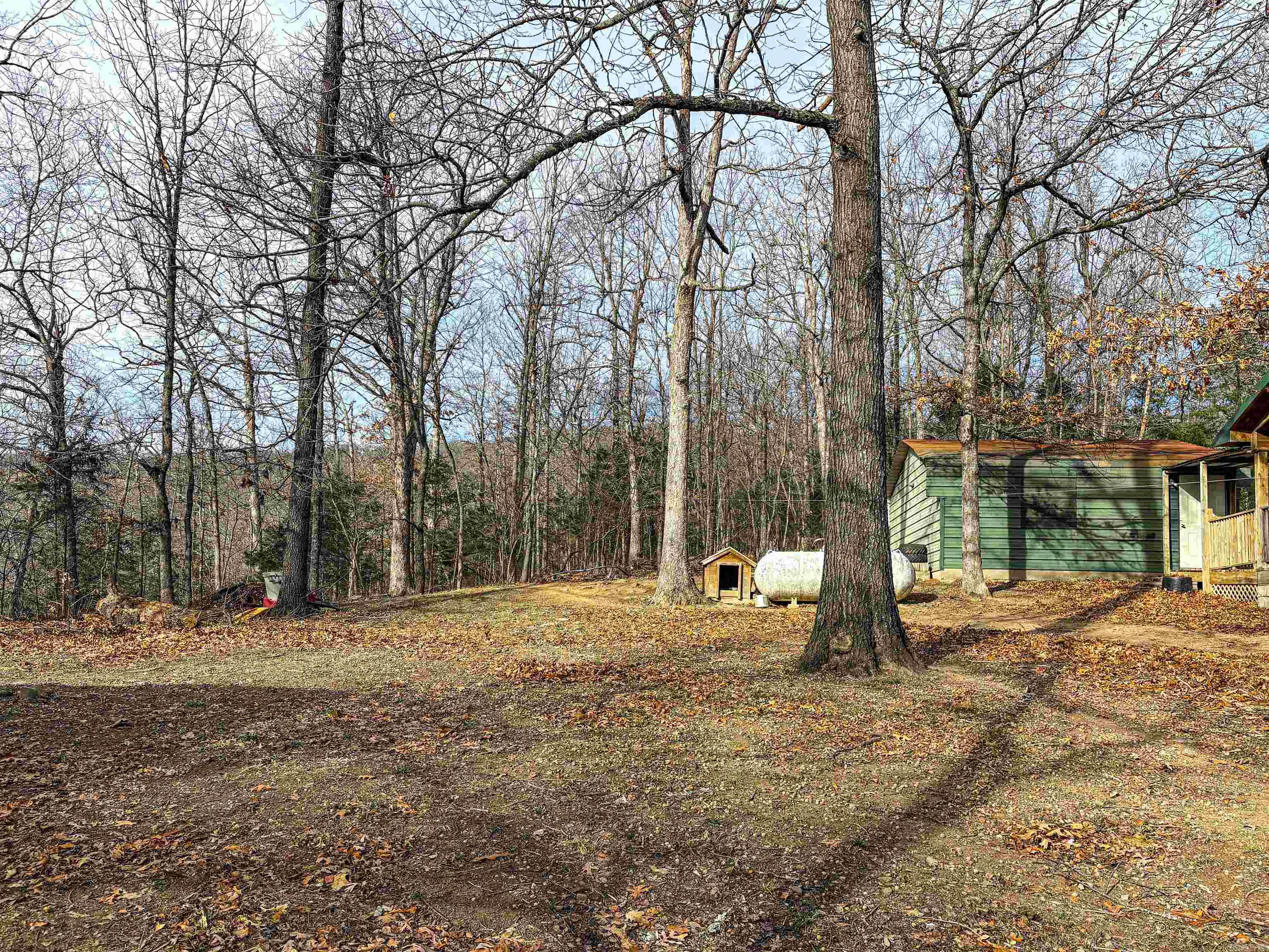 3945 Fawn  Harrison, AR