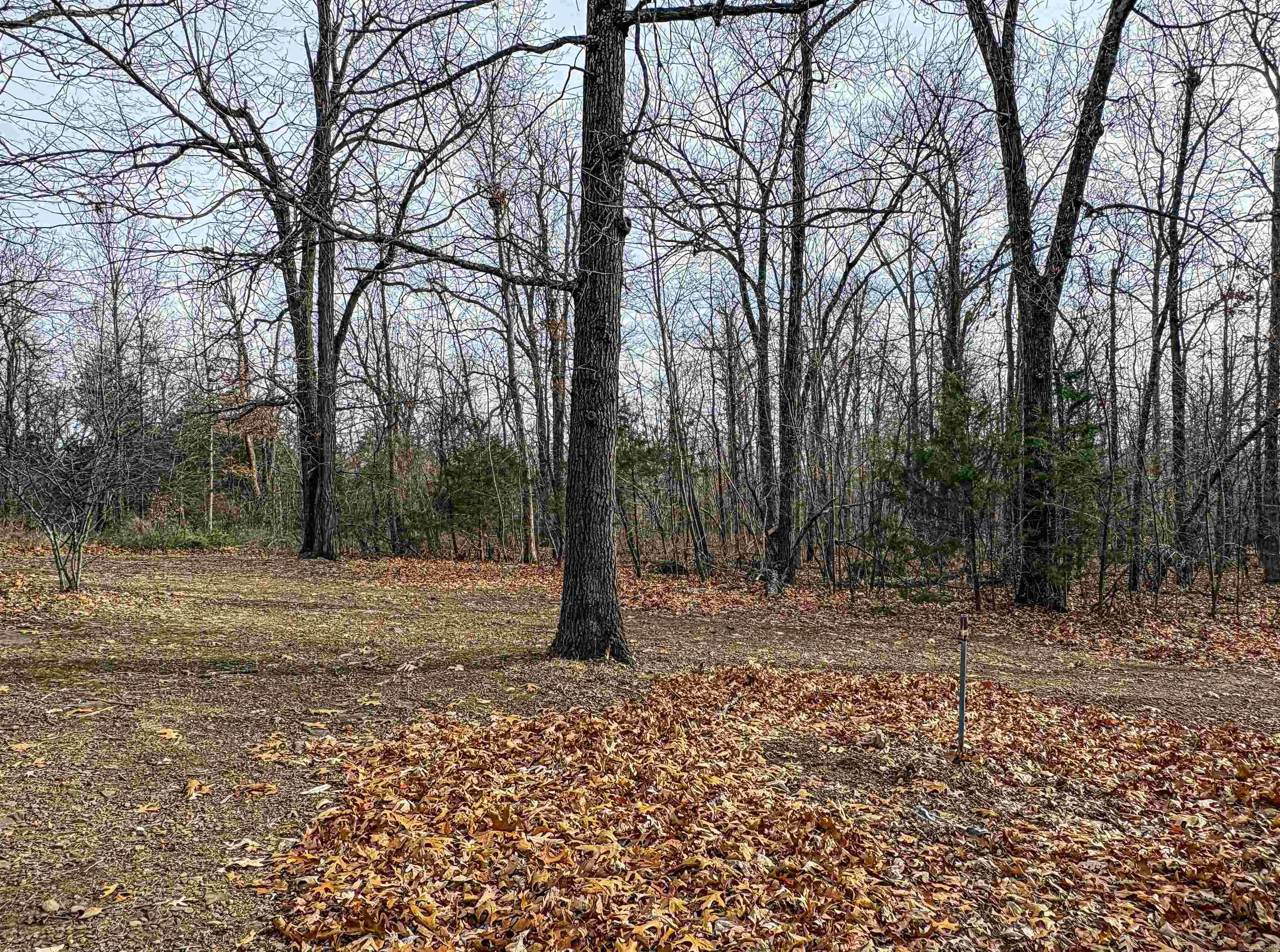 3945 Fawn  Harrison, AR