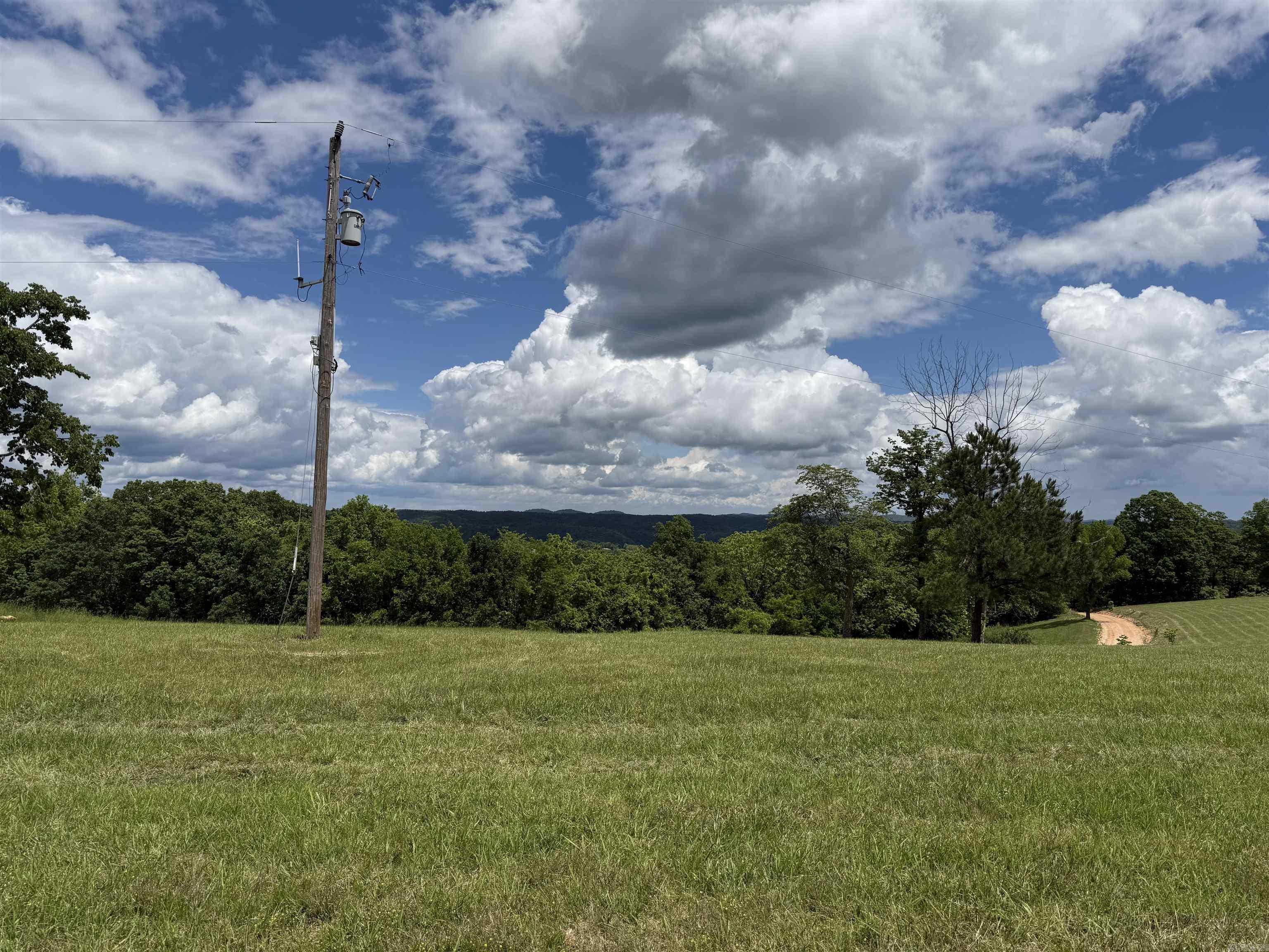 1366 Holmes  Mountain View, AR