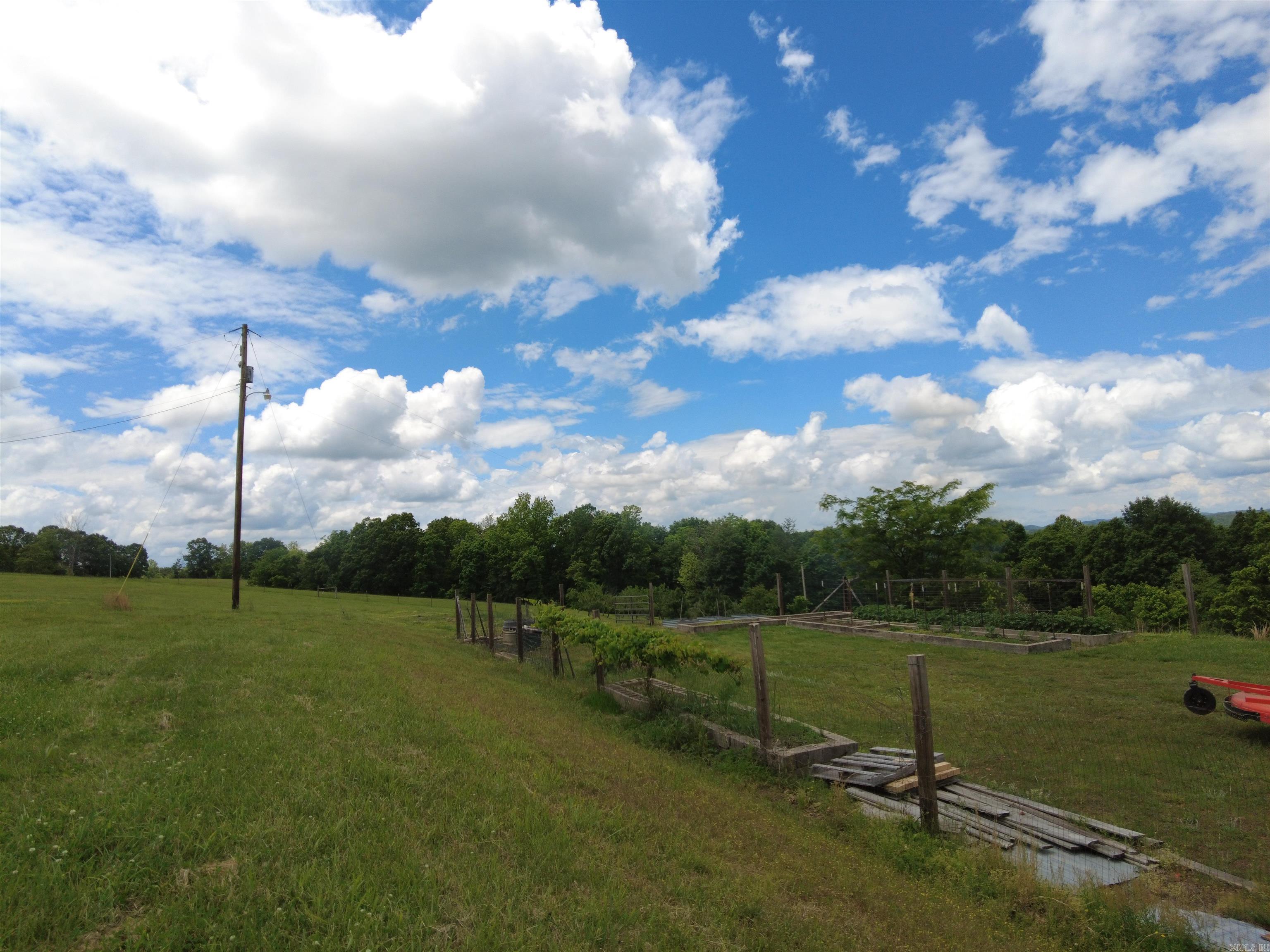 1366 Holmes  Mountain View, AR