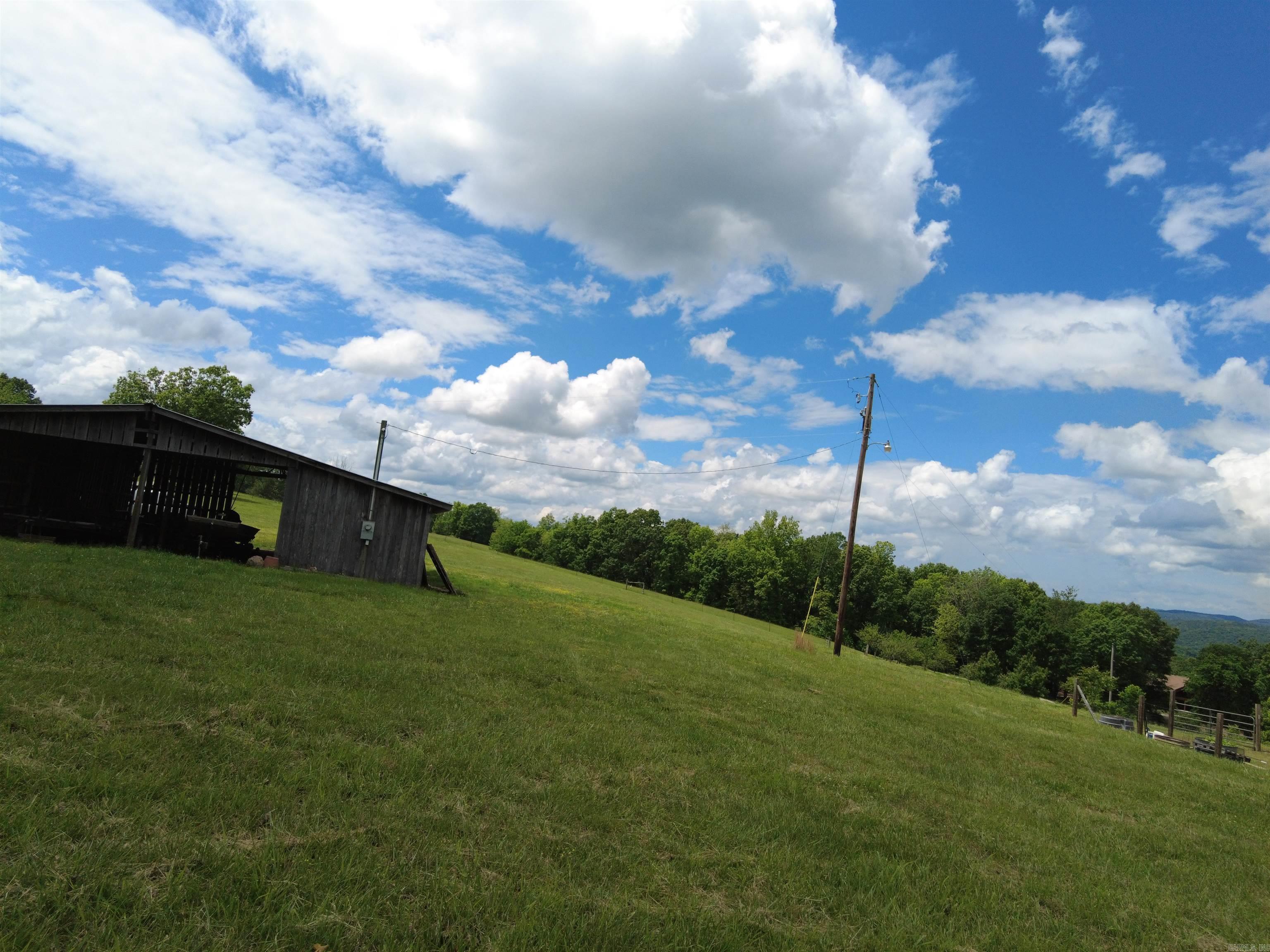 1366 Holmes  Mountain View, AR