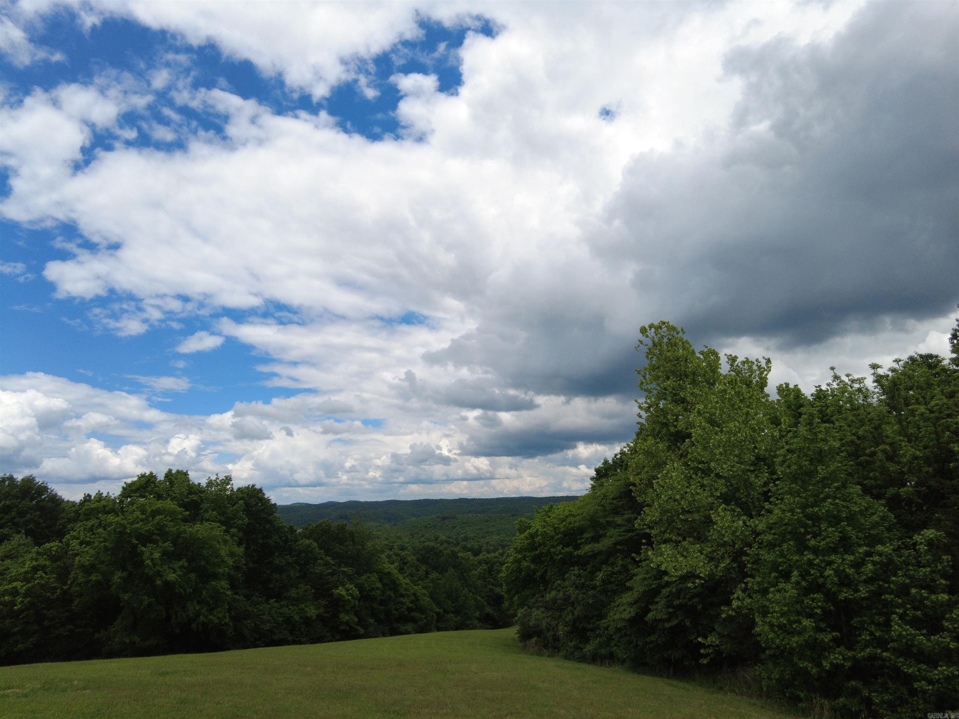 1366 Holmes  Mountain View, AR