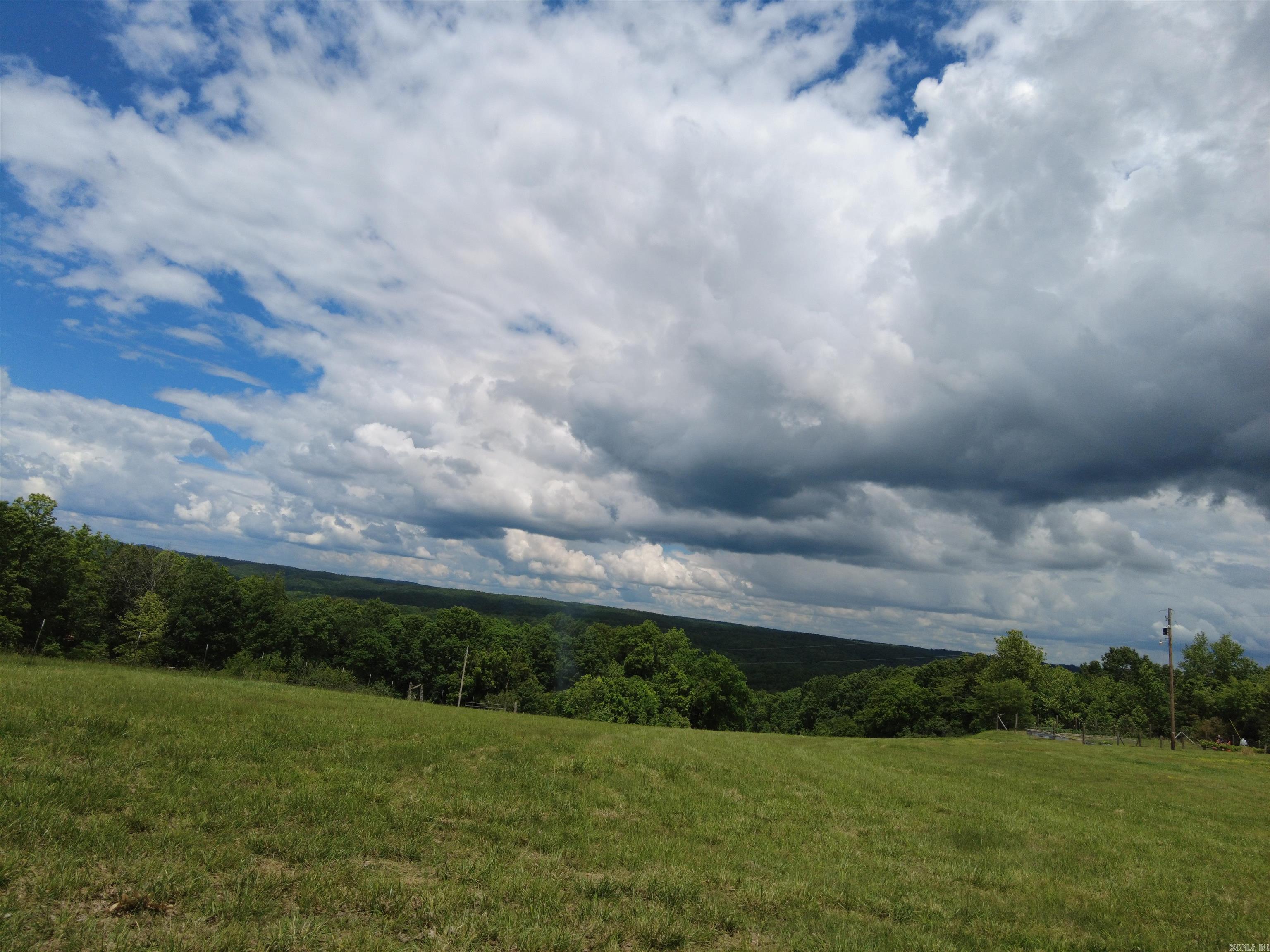 1366 Holmes  Mountain View, AR