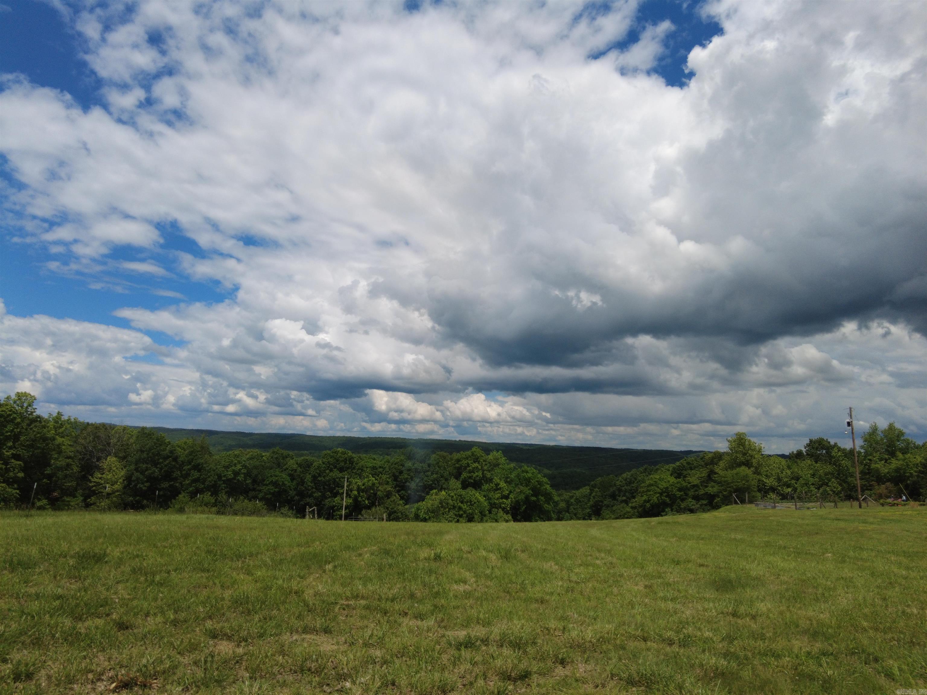 1366 Holmes  Mountain View, AR