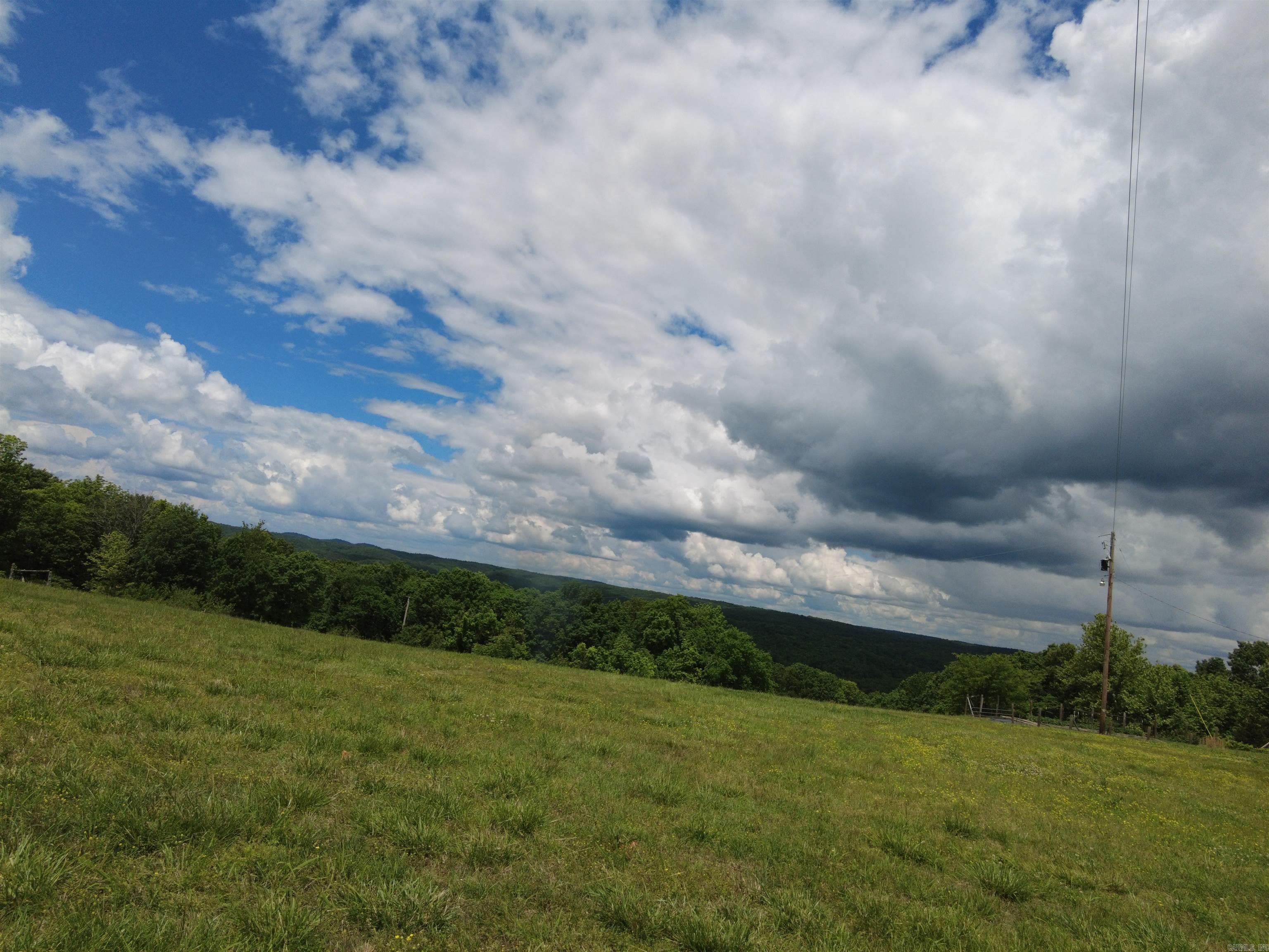 1366 Holmes  Mountain View, AR