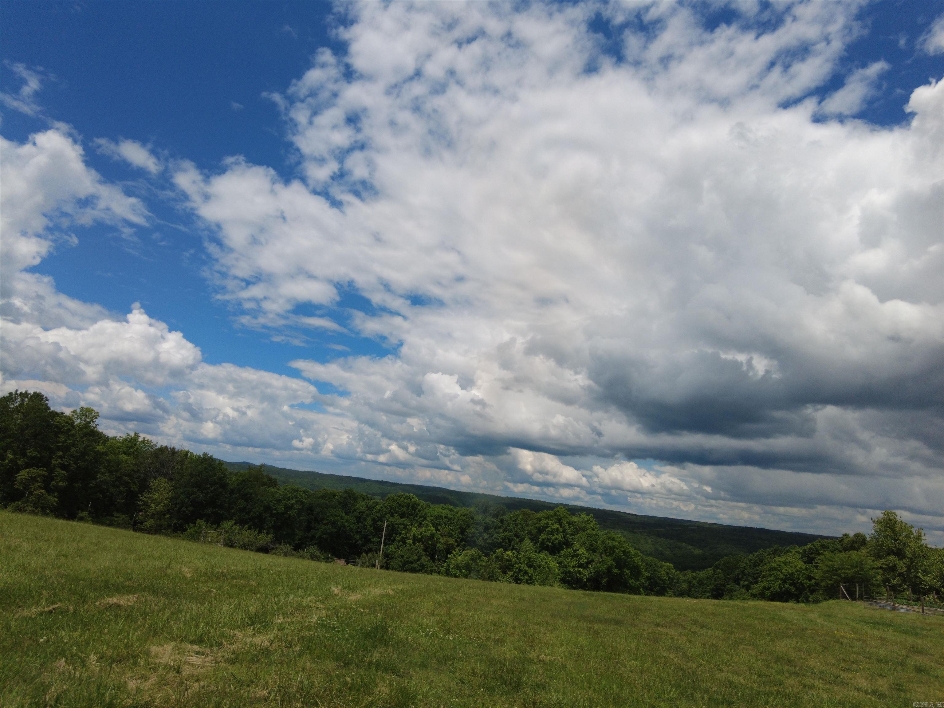 1366 Holmes  Mountain View, AR