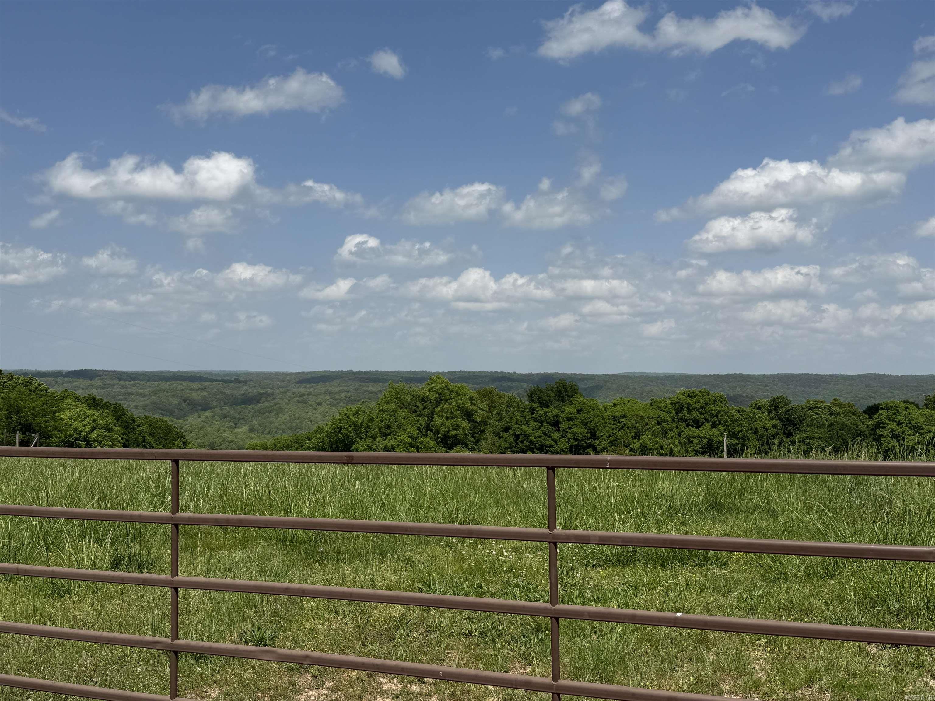 1366 Holmes  Mountain View, AR