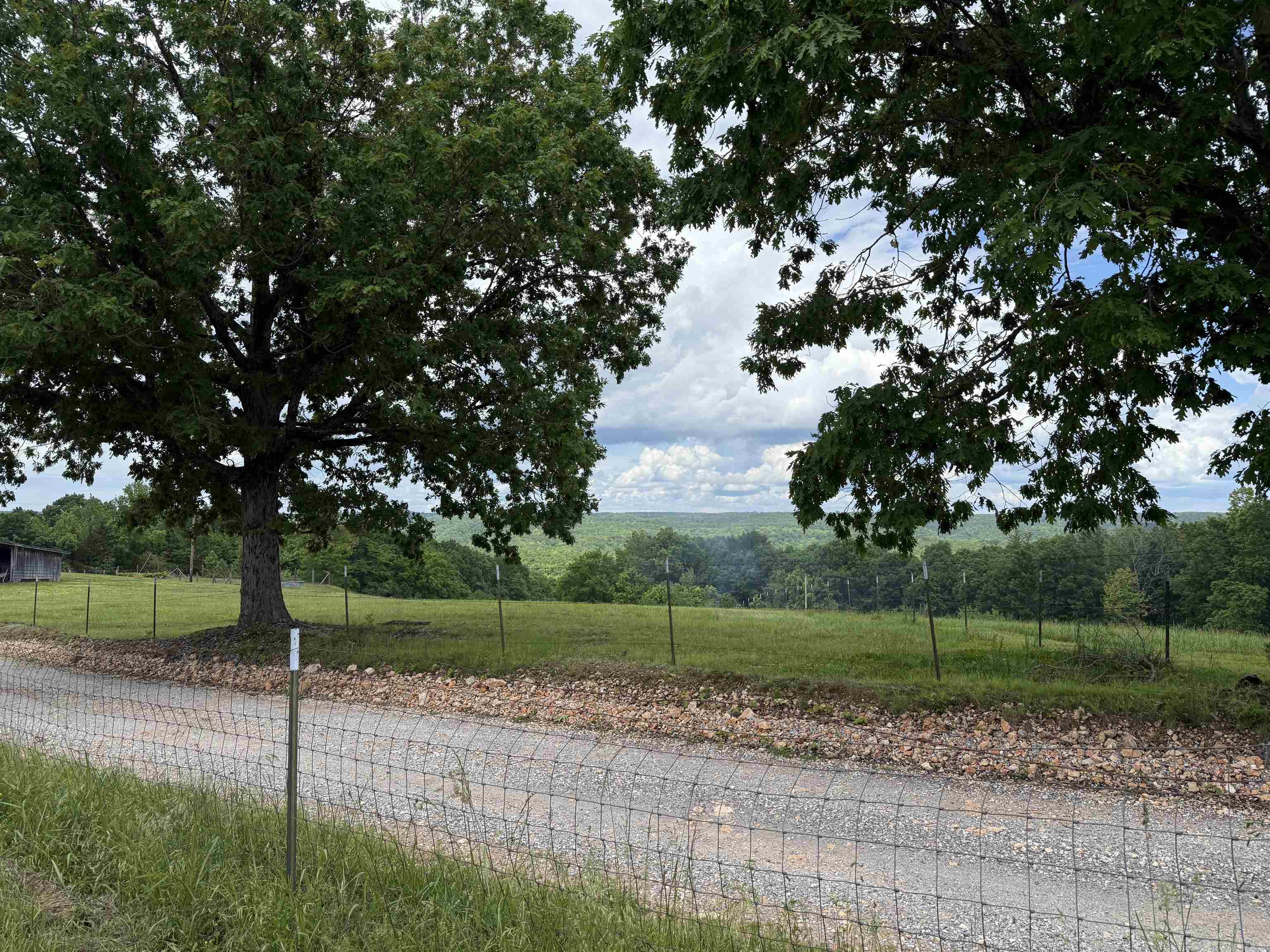 1366 Holmes  Mountain View, AR