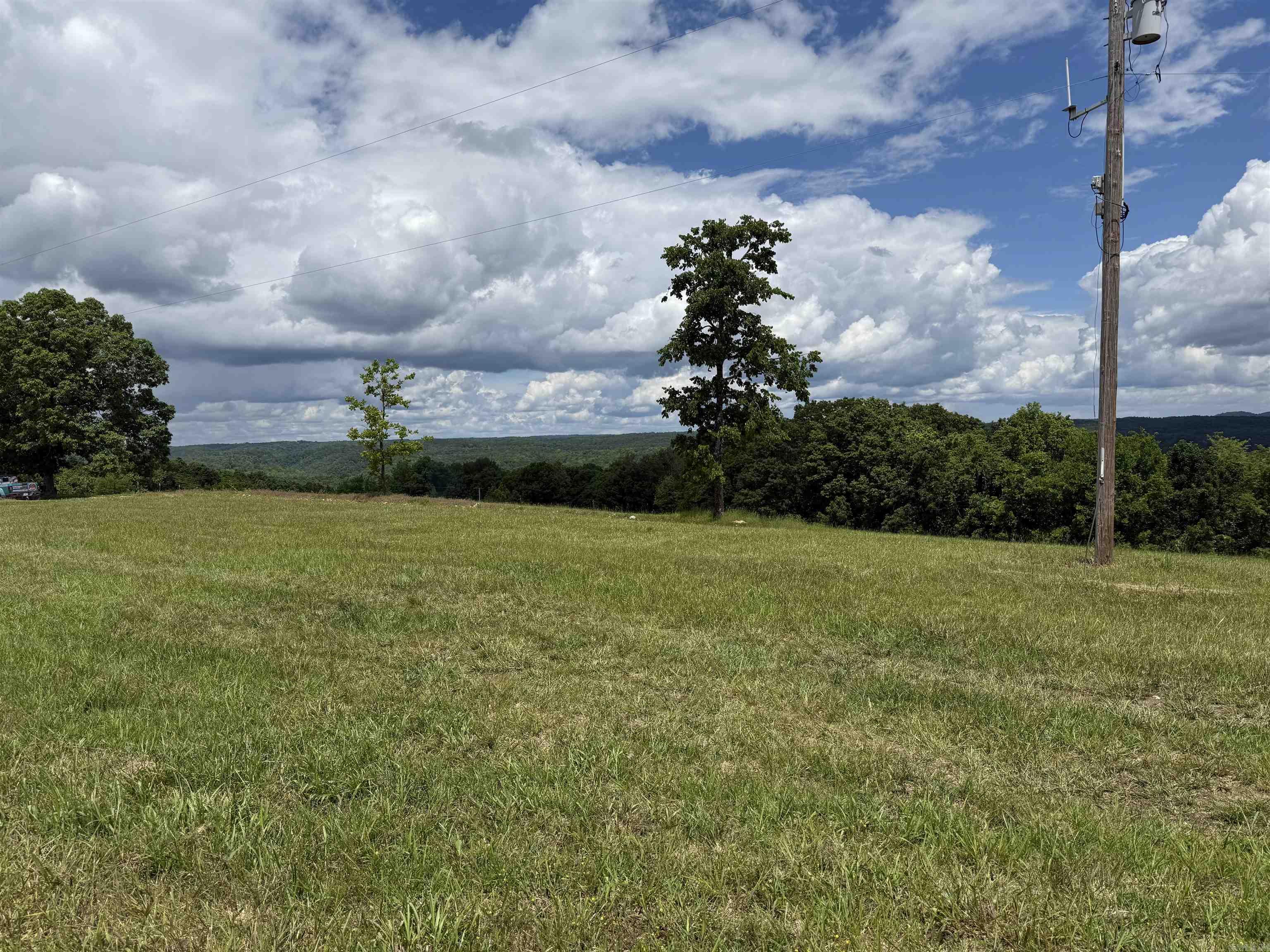 1366 Holmes  Mountain View, AR