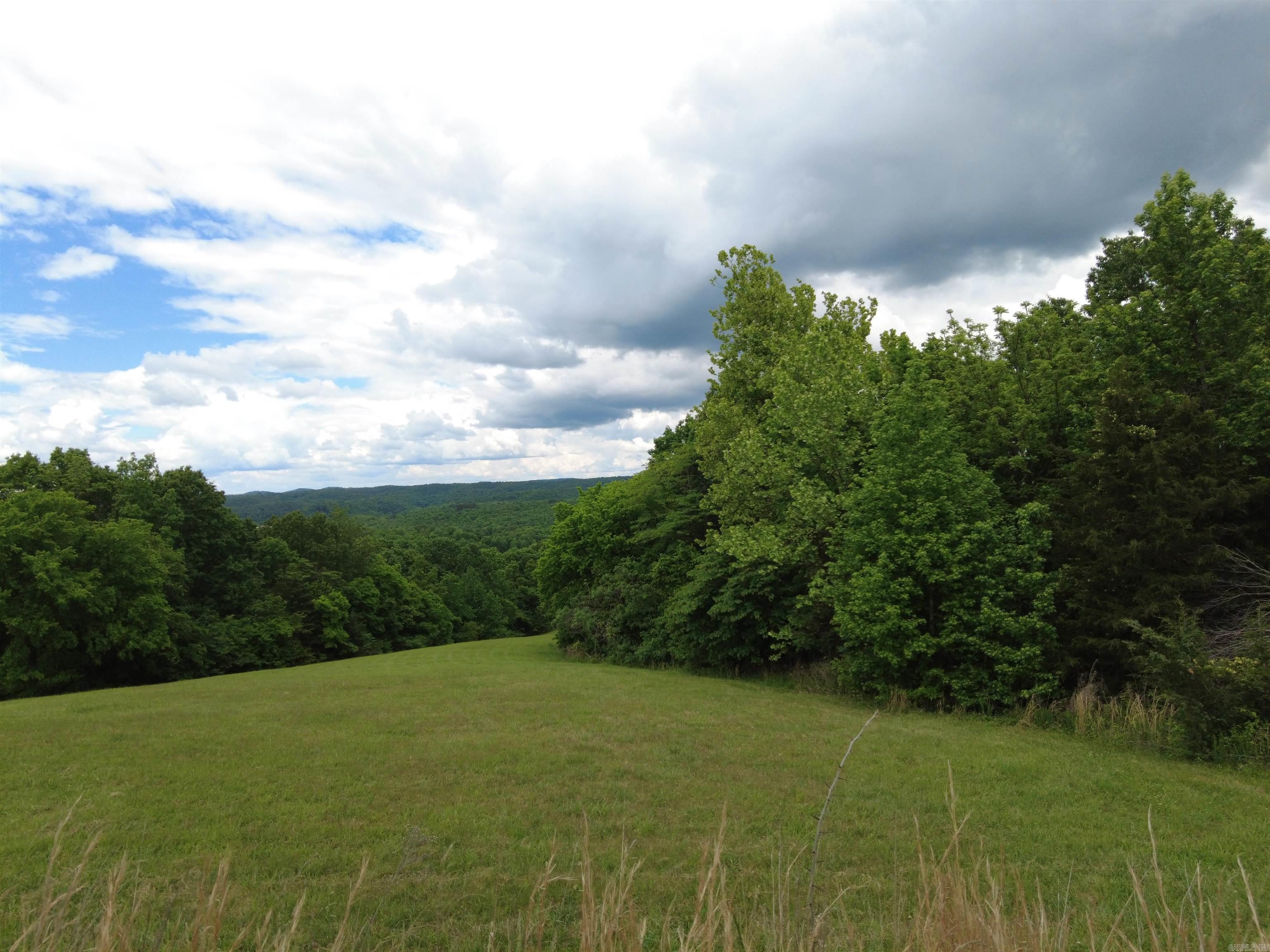 1366 Holmes  Mountain View, AR