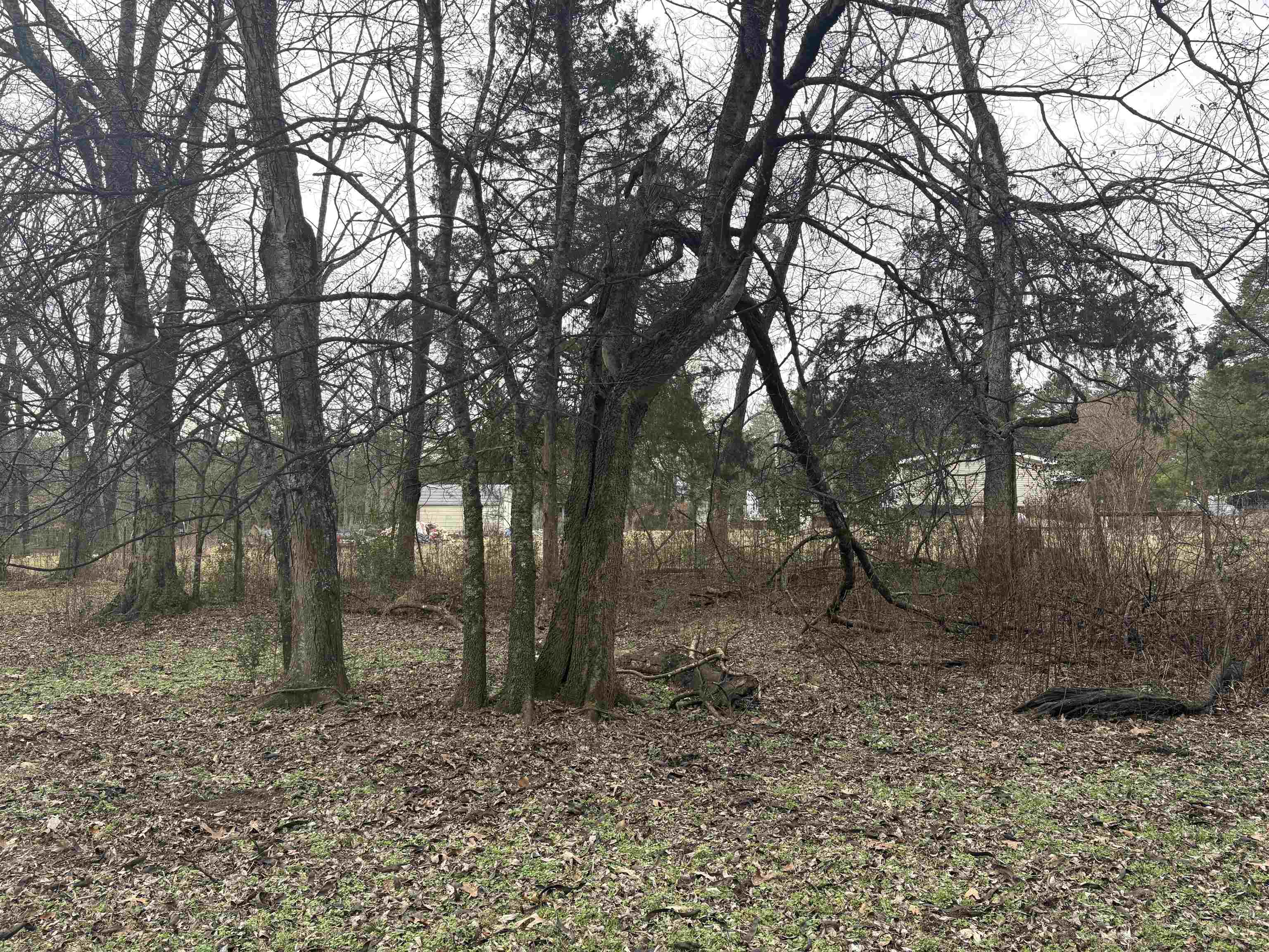 415 Rush Lane  Imboden, AR