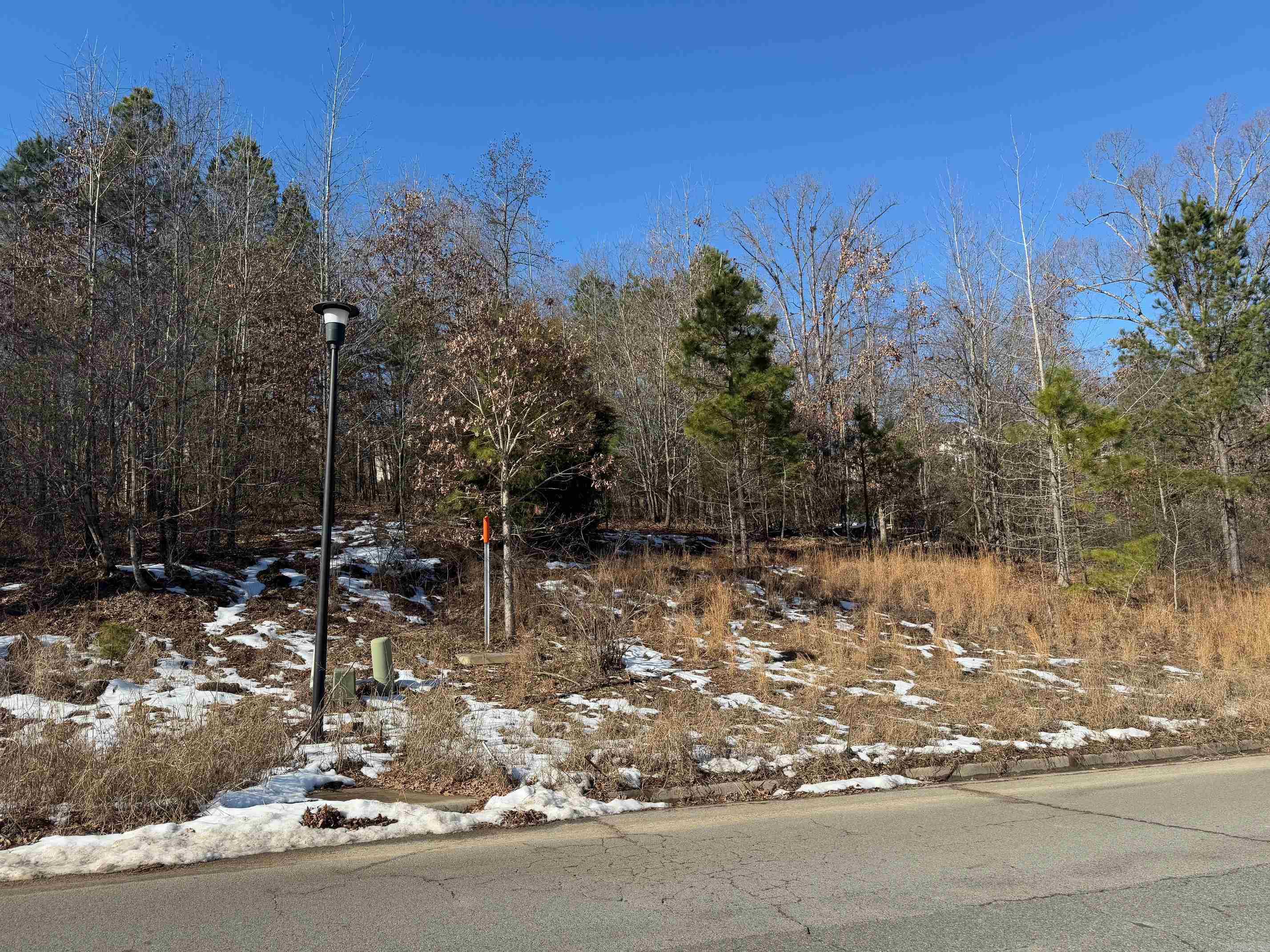 105 Navajo  Maumelle, AR