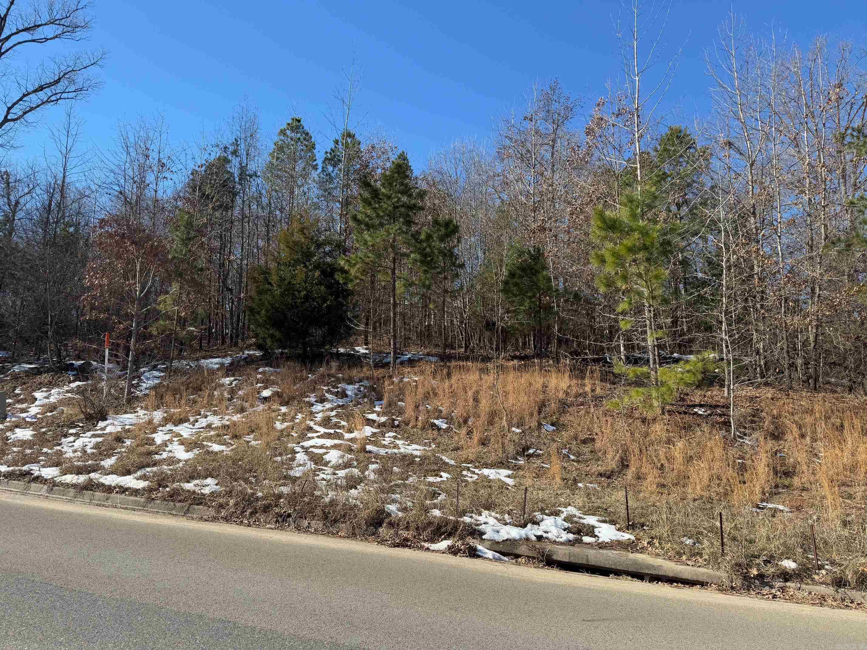 105 Navajo  Maumelle, AR