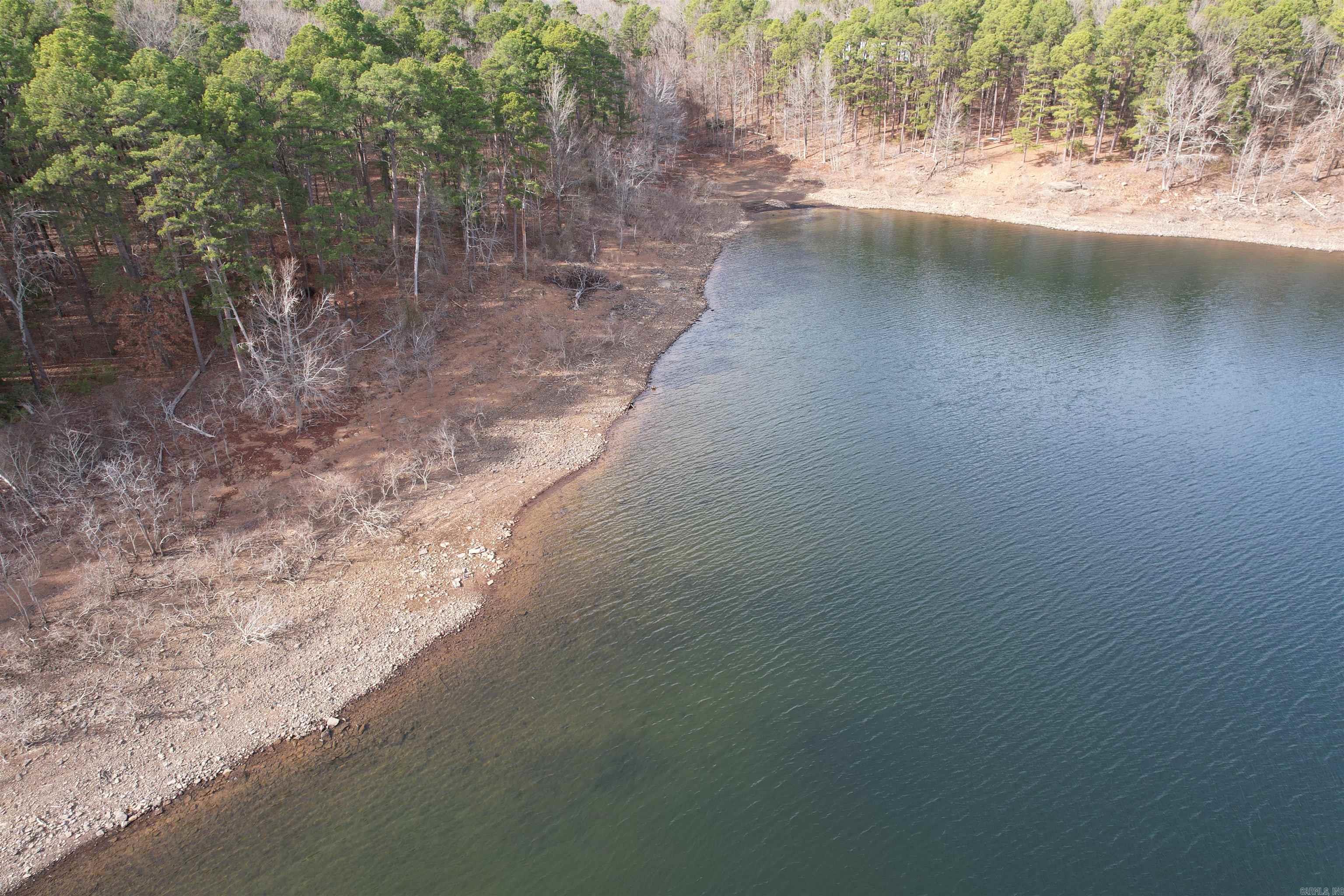  Silver Shores Lane  Drasco, AR