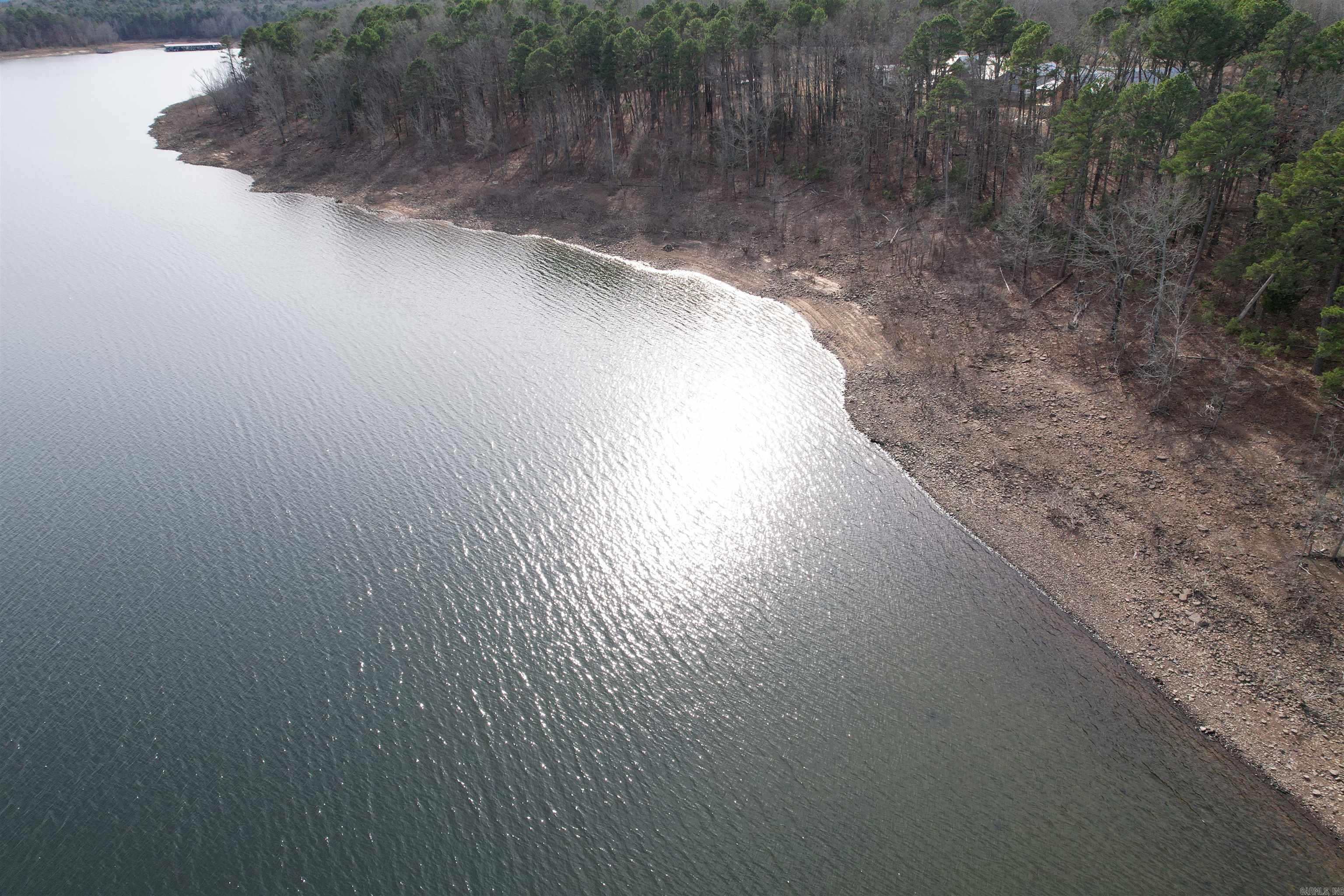  Silver Shores Lane  Drasco, AR