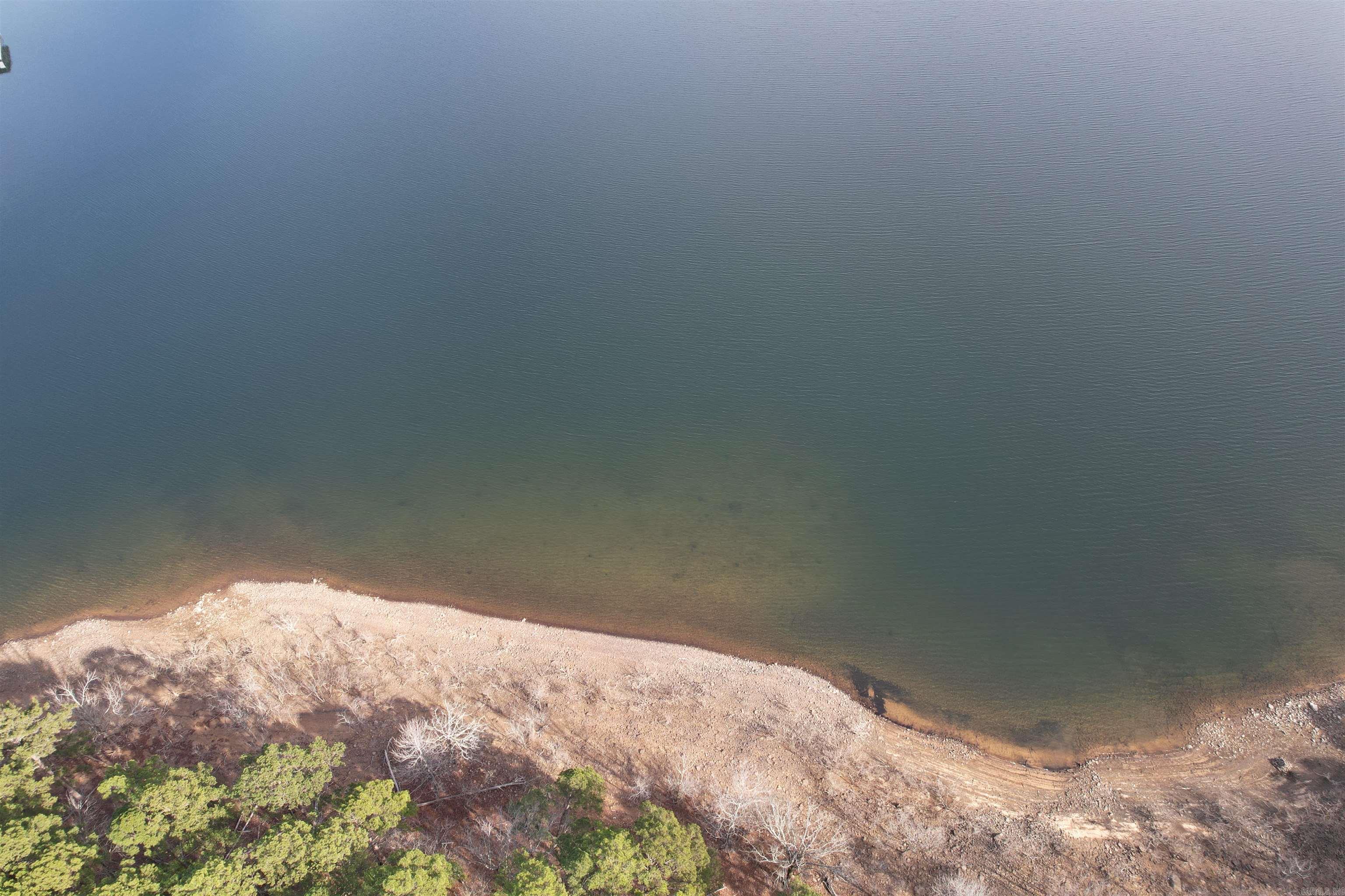  Silver Shores Lane  Drasco, AR