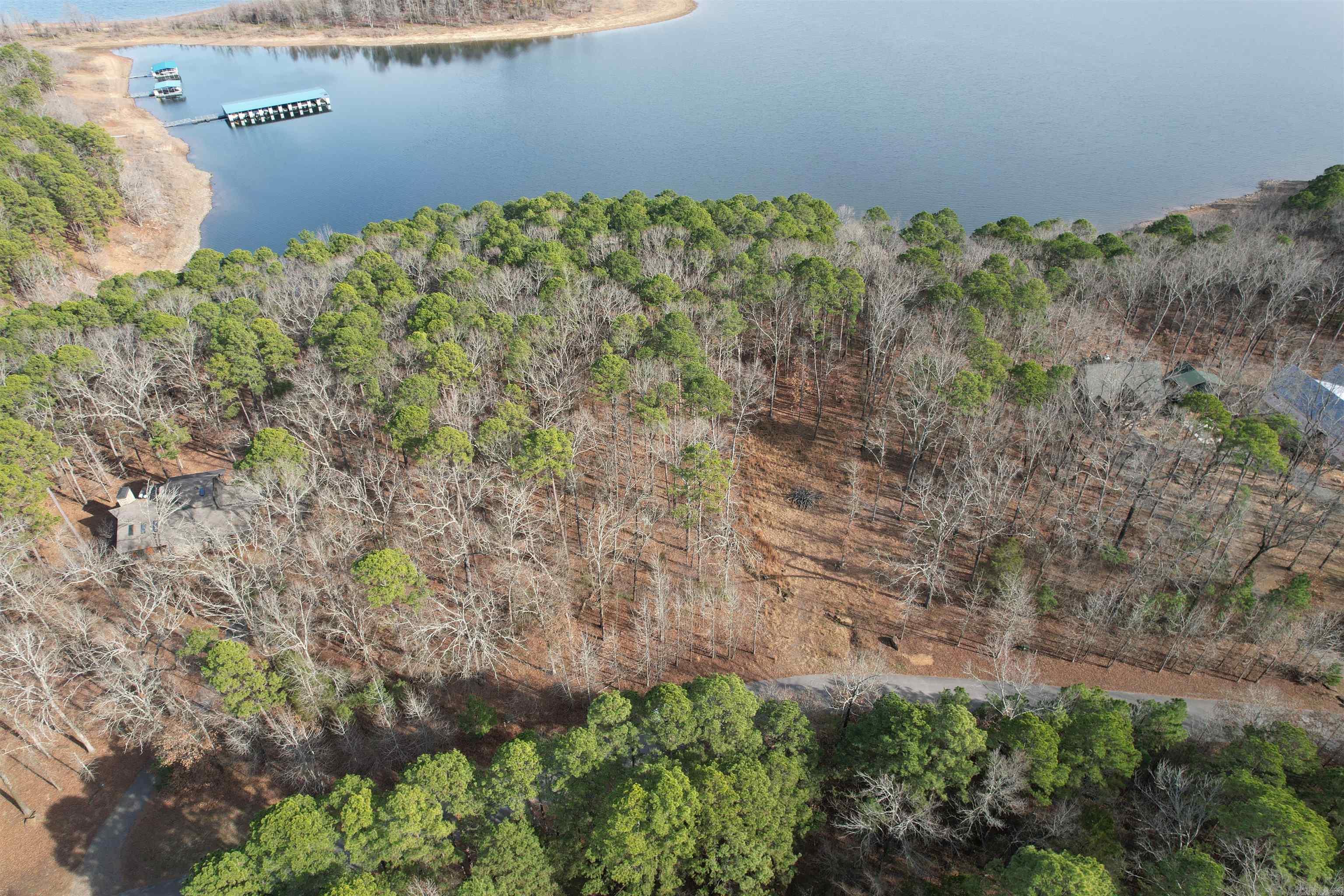  Silver Shores Lane  Drasco, AR