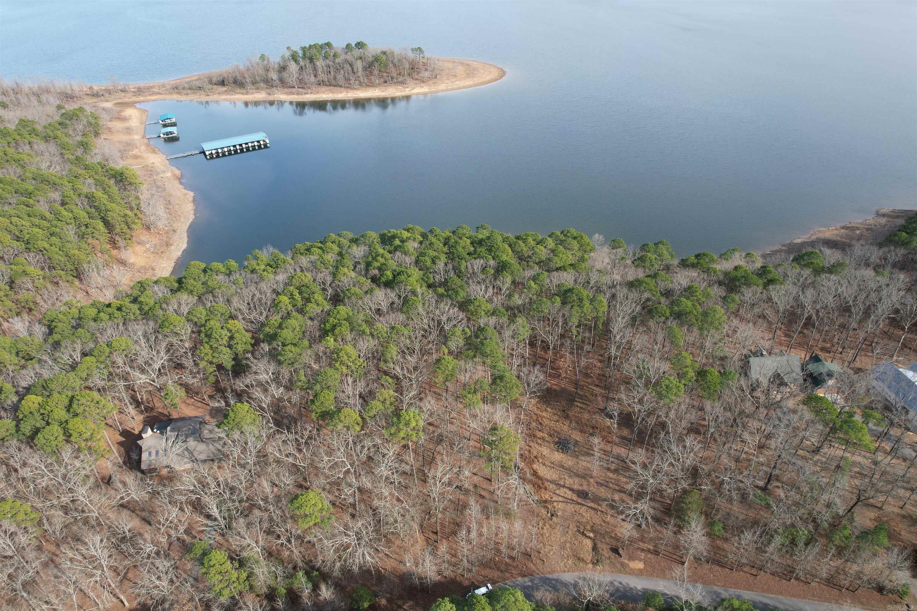  Silver Shores Lane  Drasco, AR