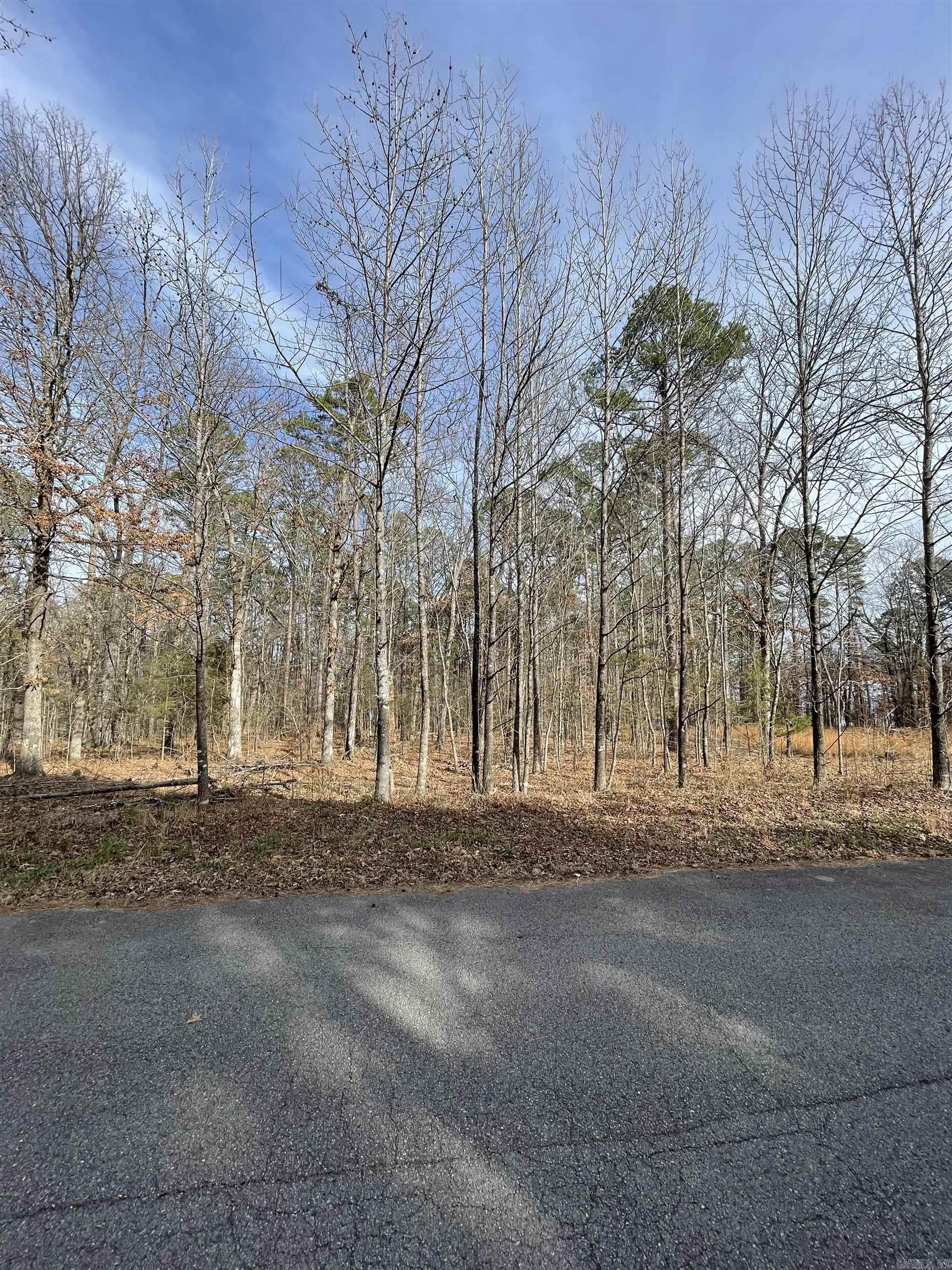  Silver Shores Lane  Drasco, AR