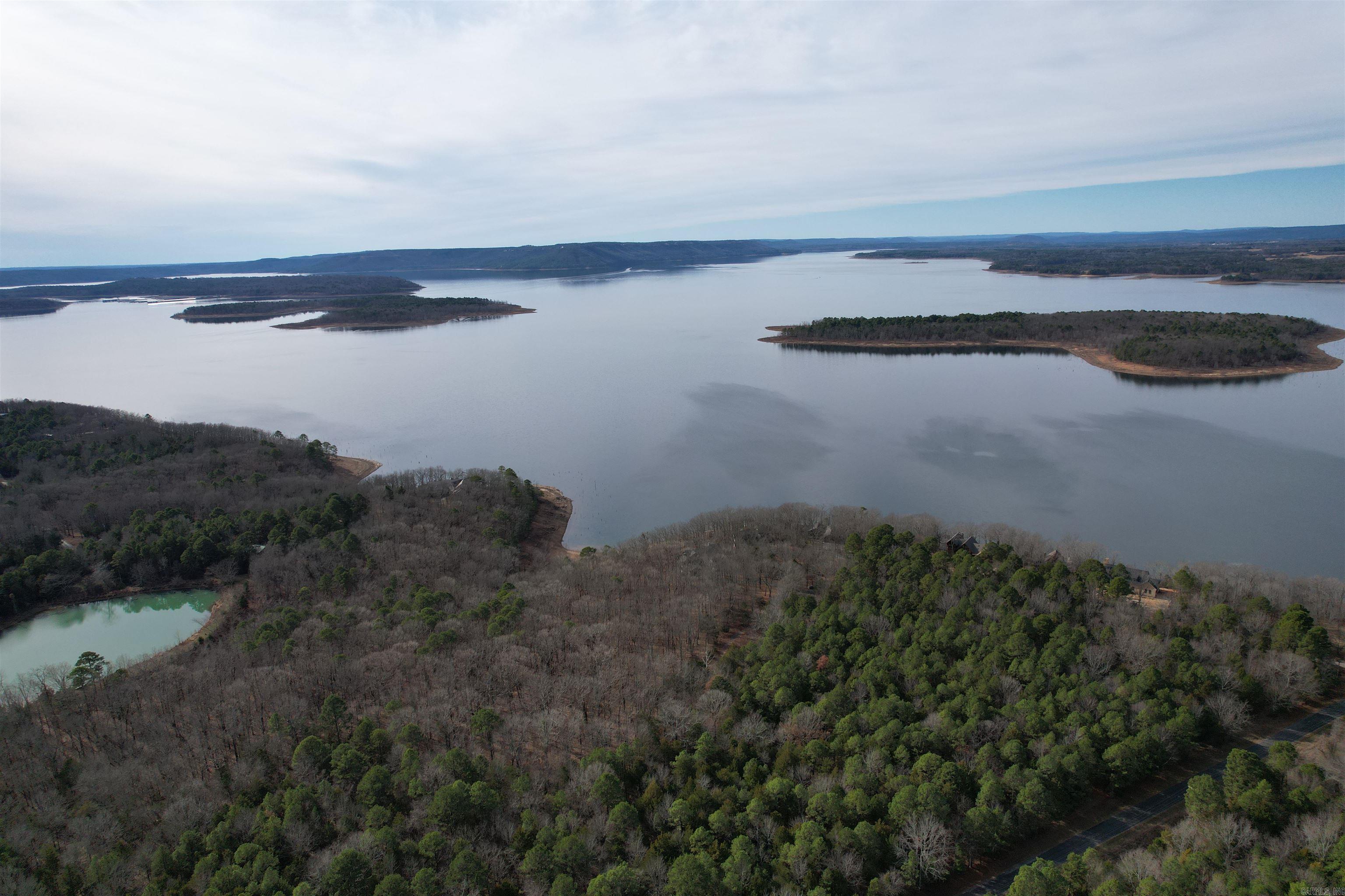  Silver Shores Lane  Drasco, AR