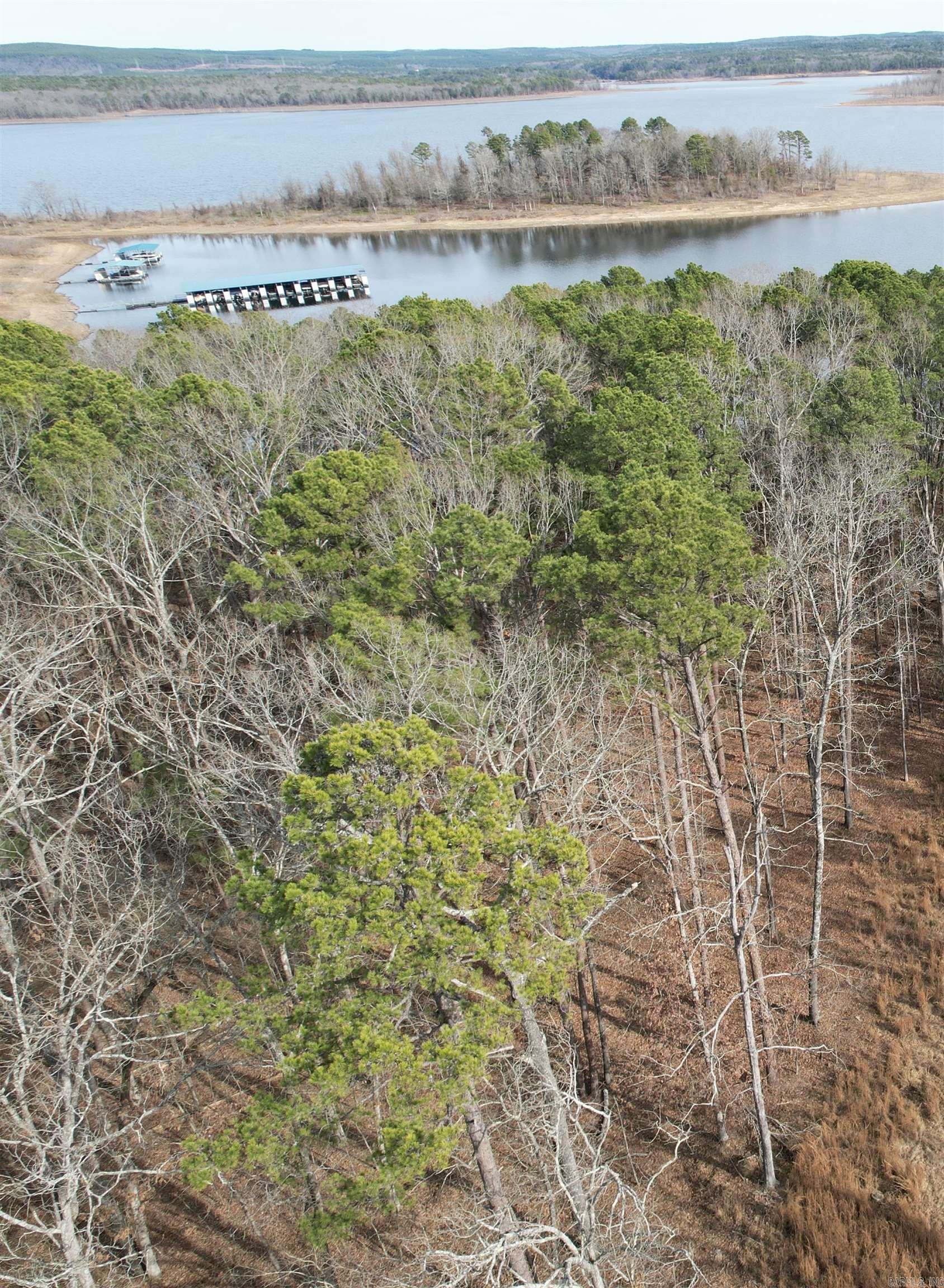  Silver Shores Lane  Drasco, AR