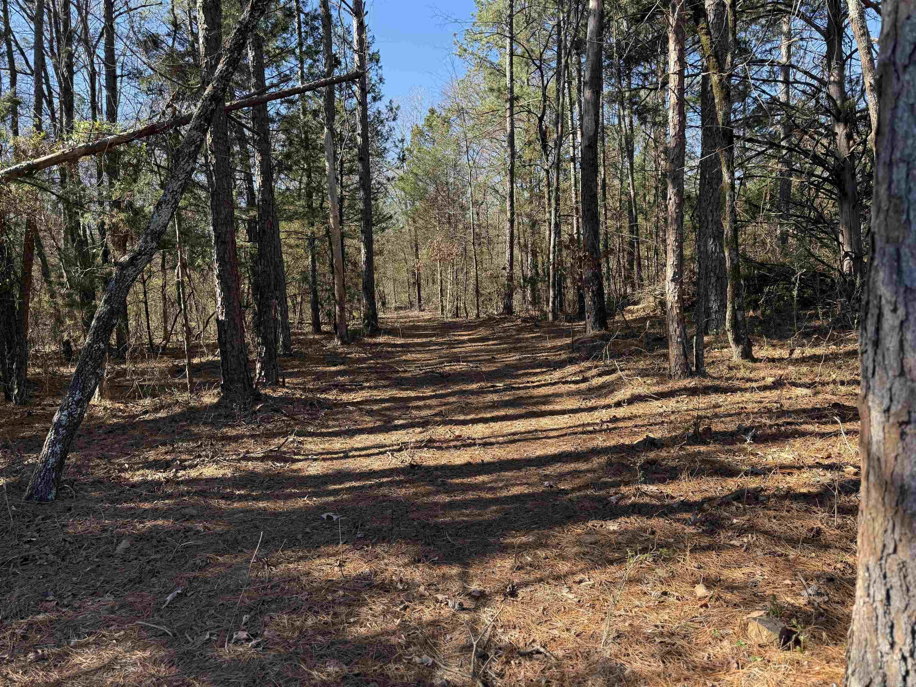 000 Heath  Greenbrier, AR