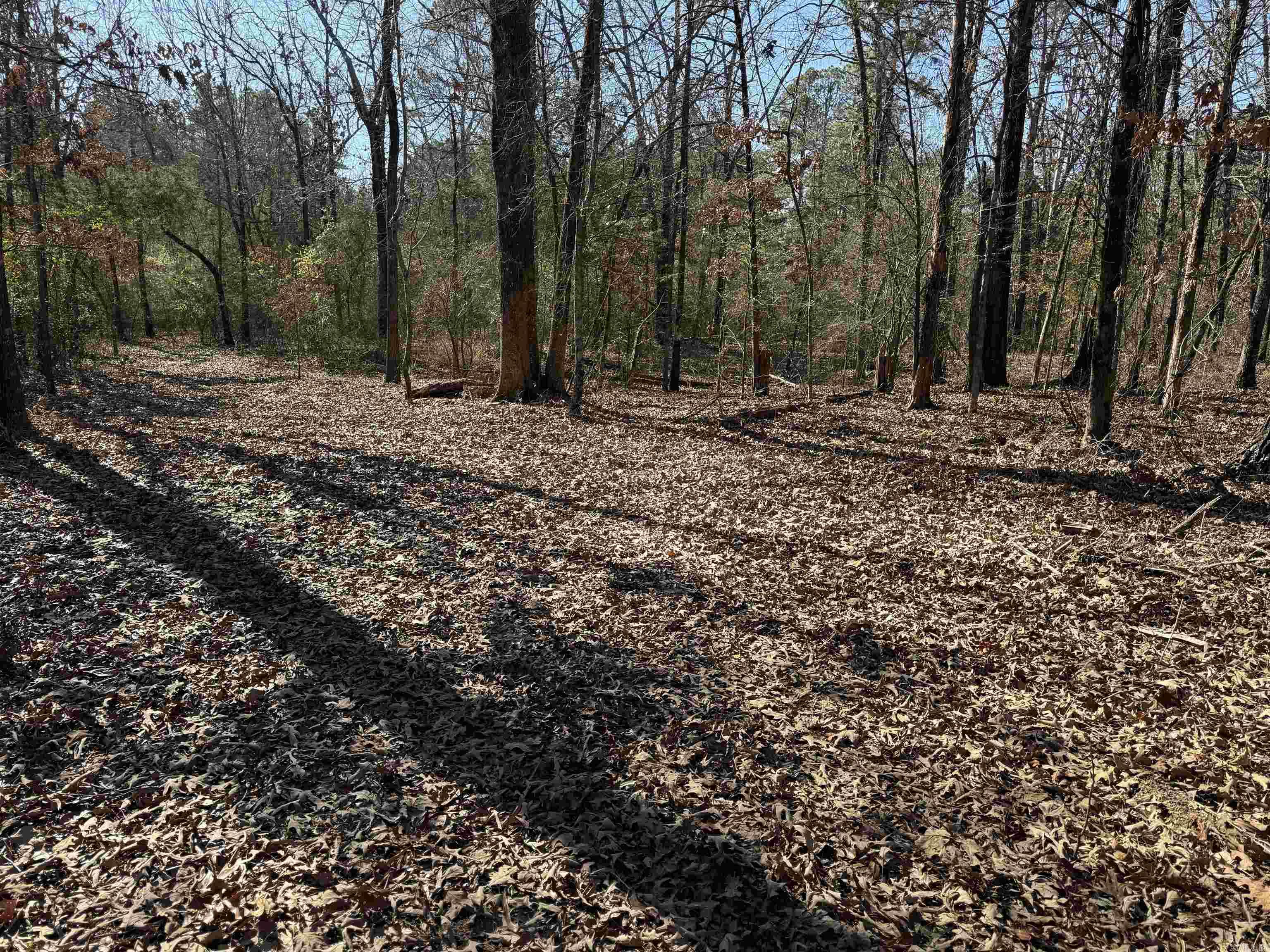 000 Heath  Greenbrier, AR