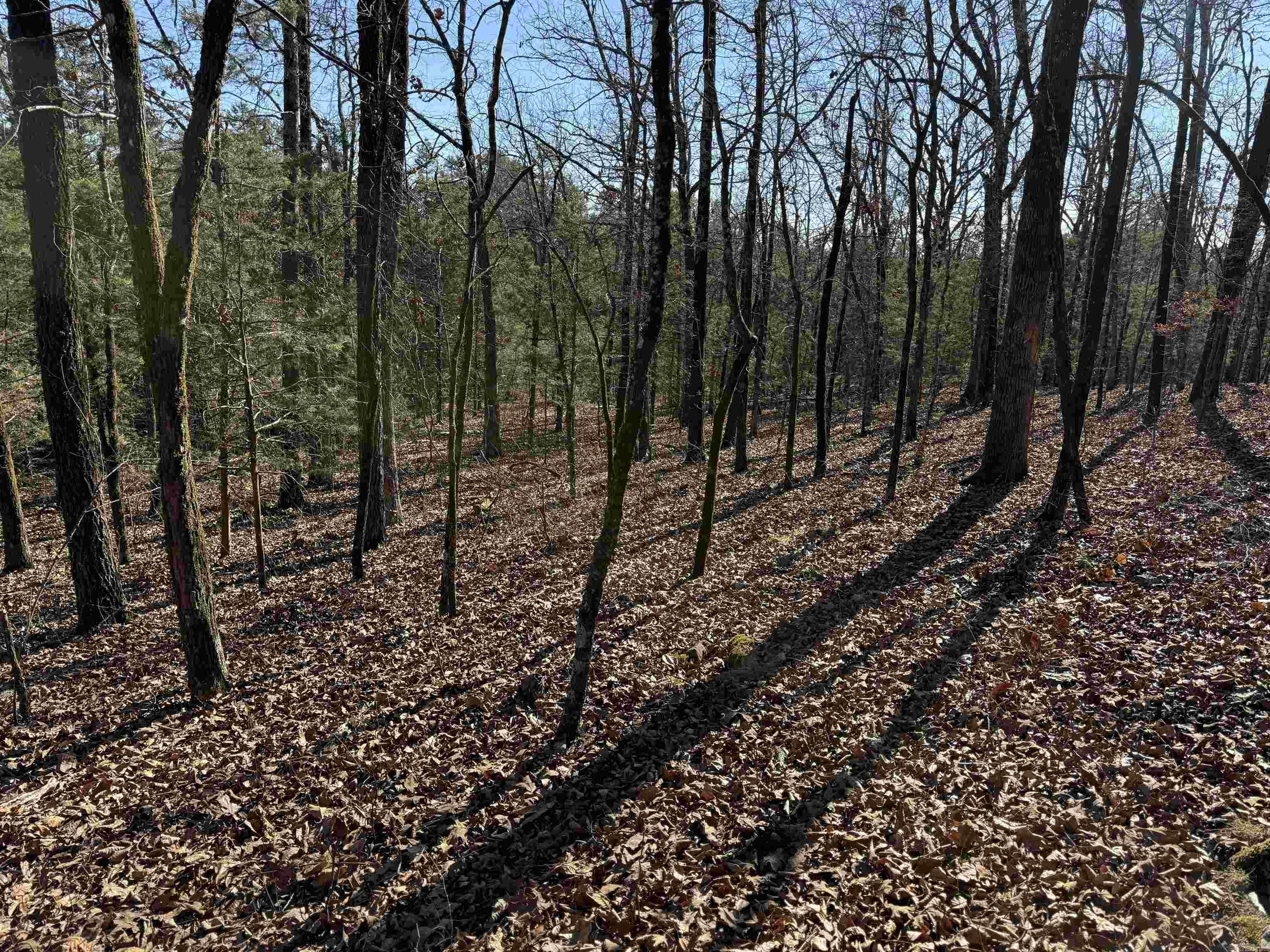 000 Heath  Greenbrier, AR