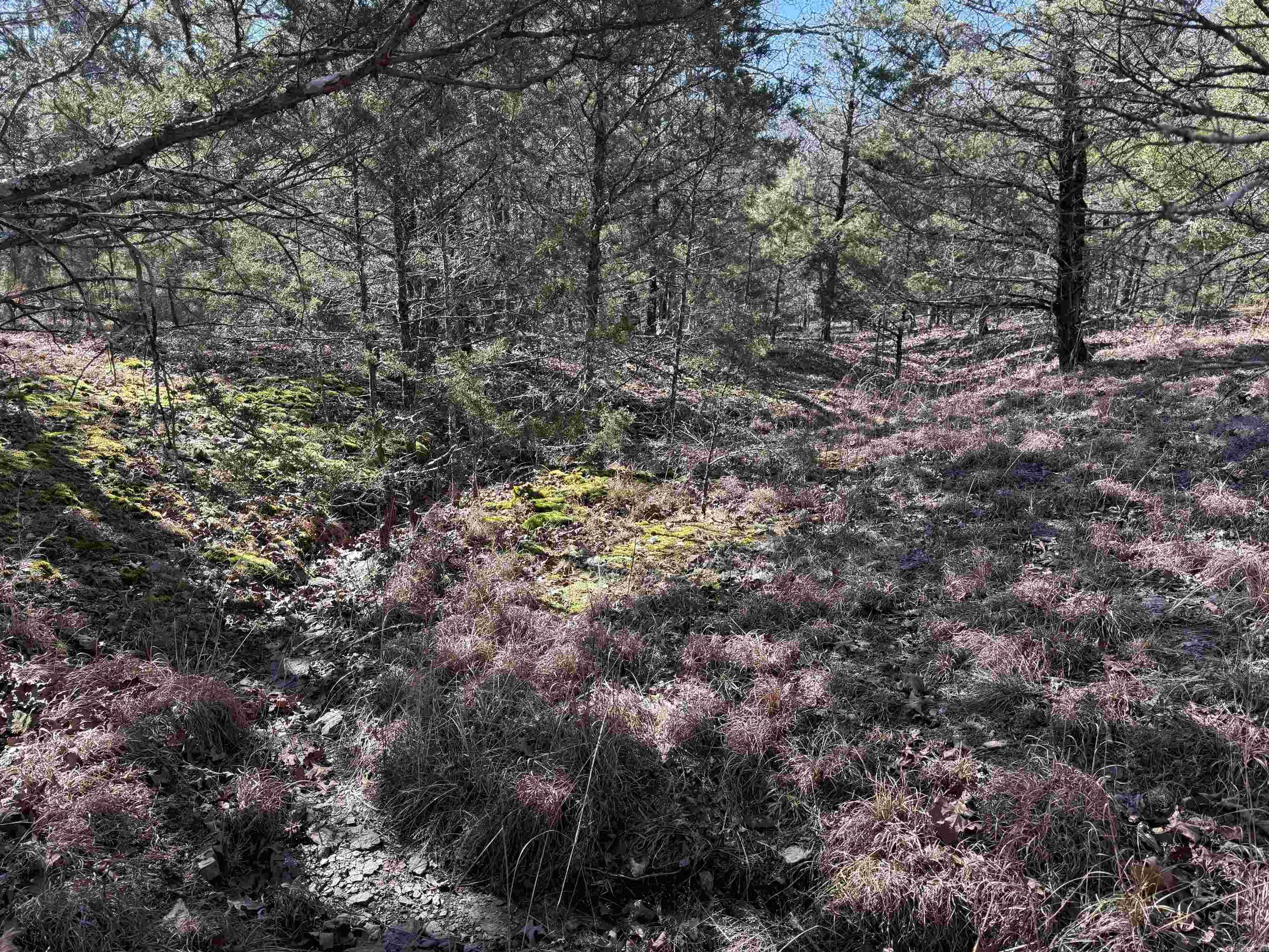 000 Heath  Greenbrier, AR