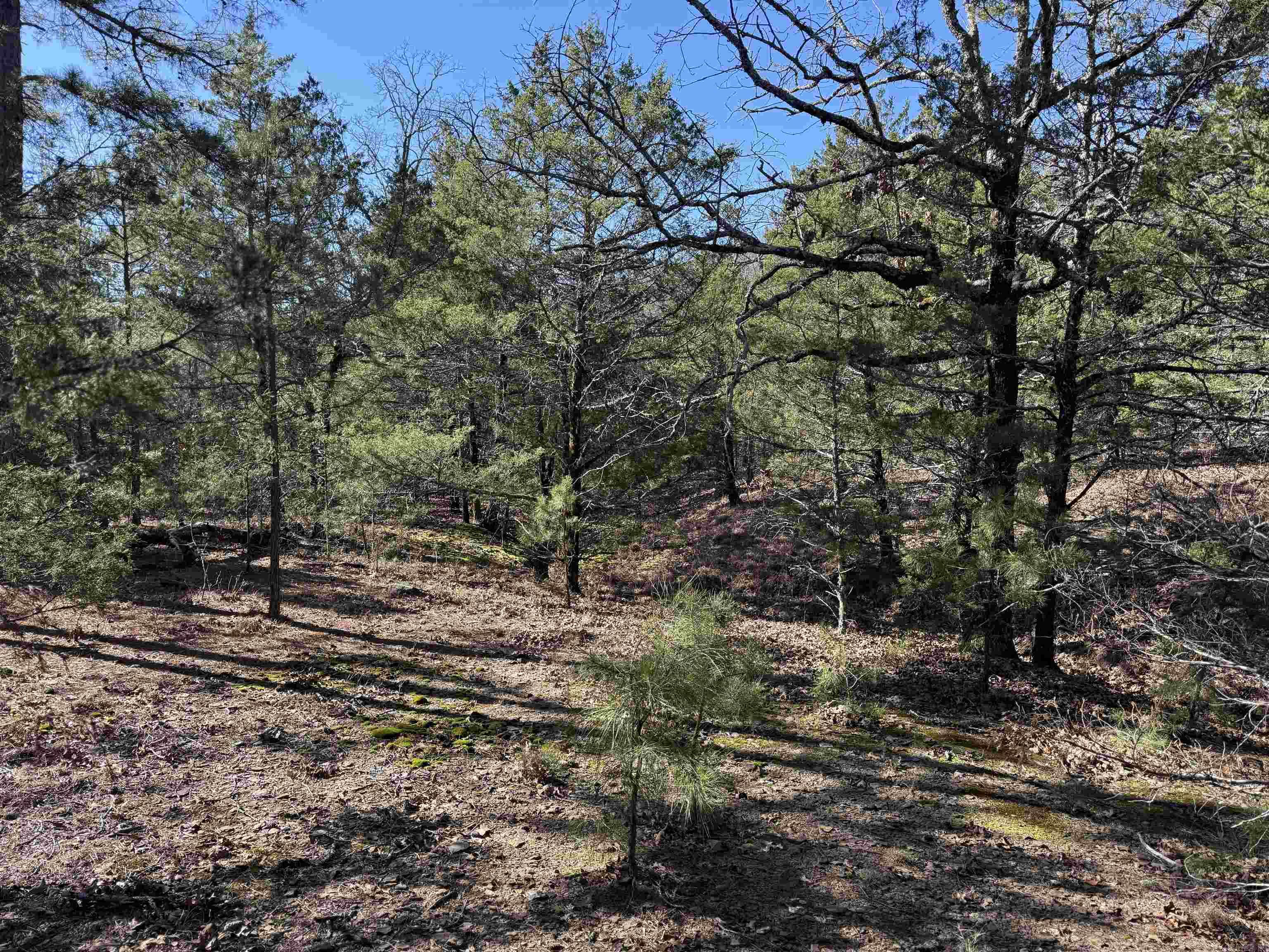 000 Heath  Greenbrier, AR