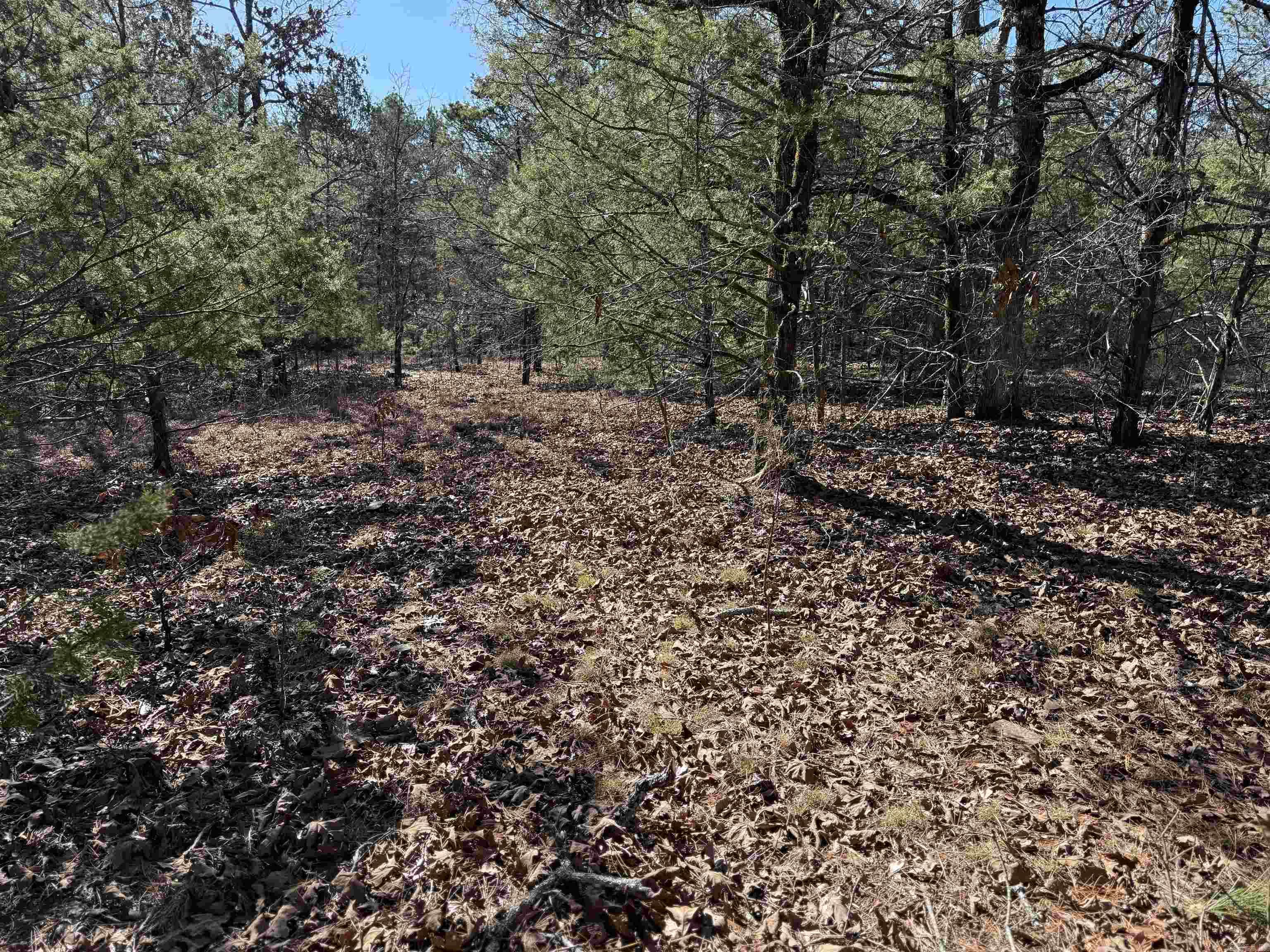 000 Heath  Greenbrier, AR