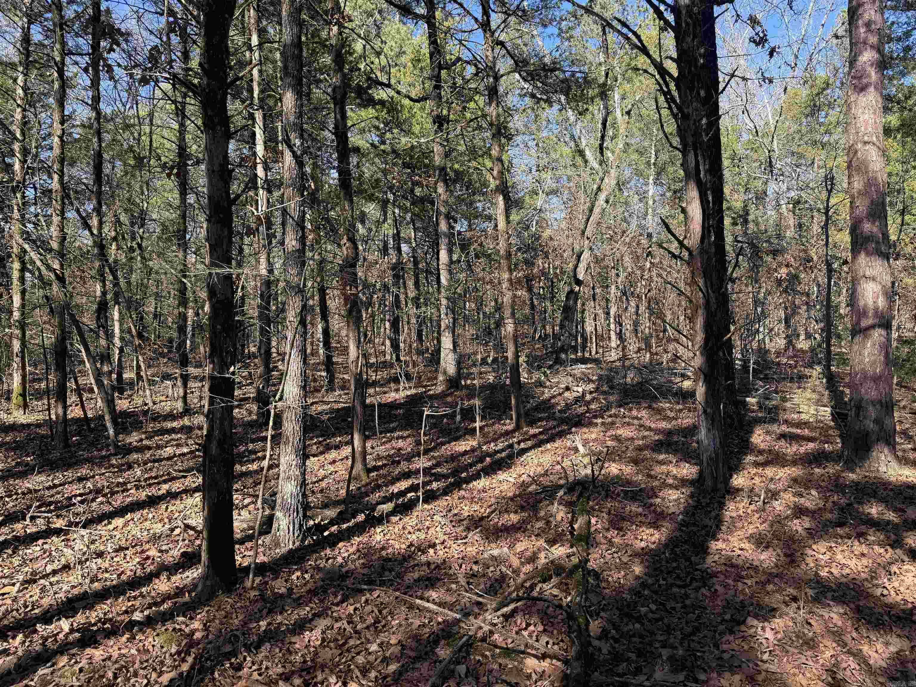 000 Heath  Greenbrier, AR