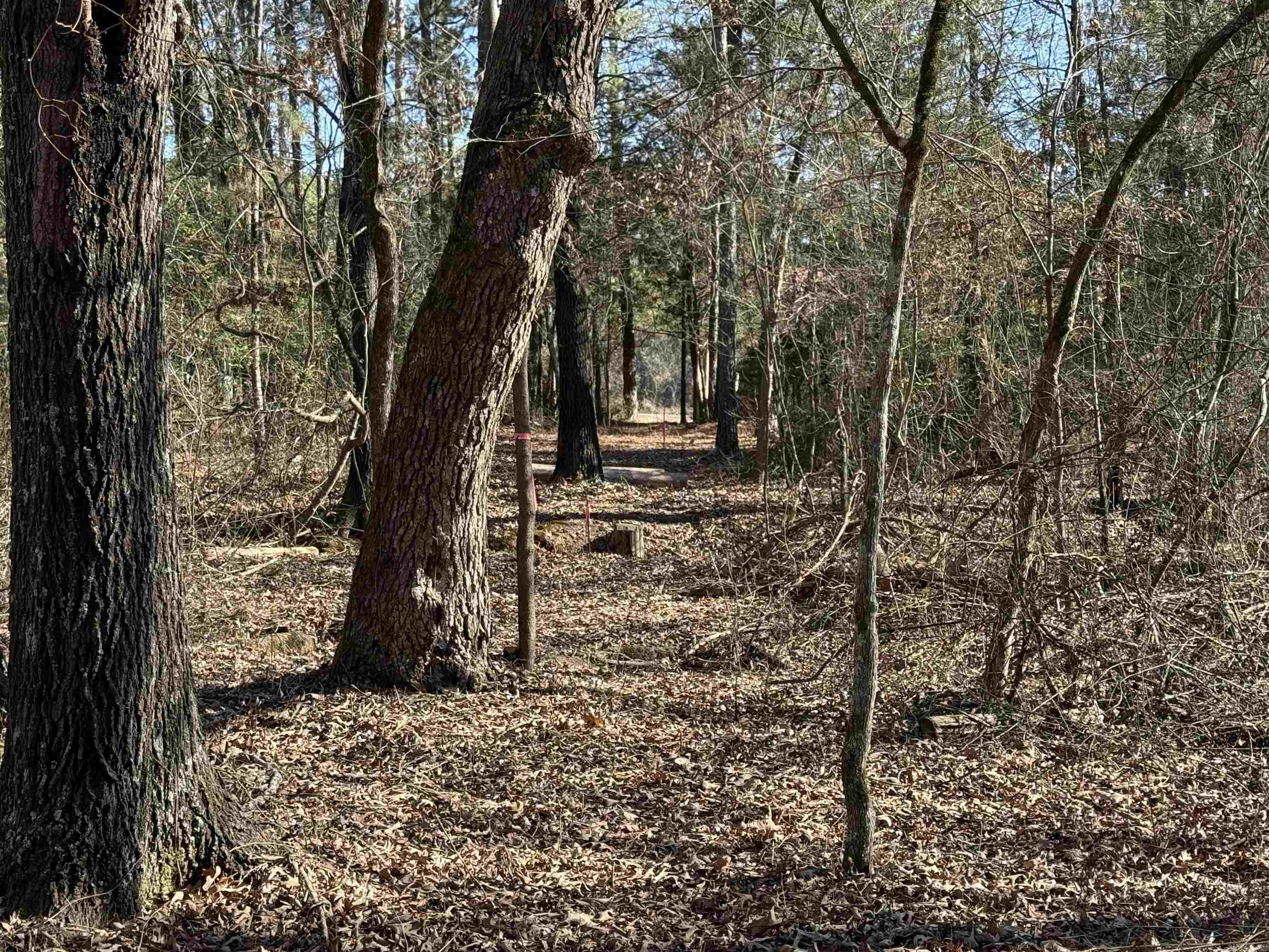 000 Heath  Greenbrier, AR