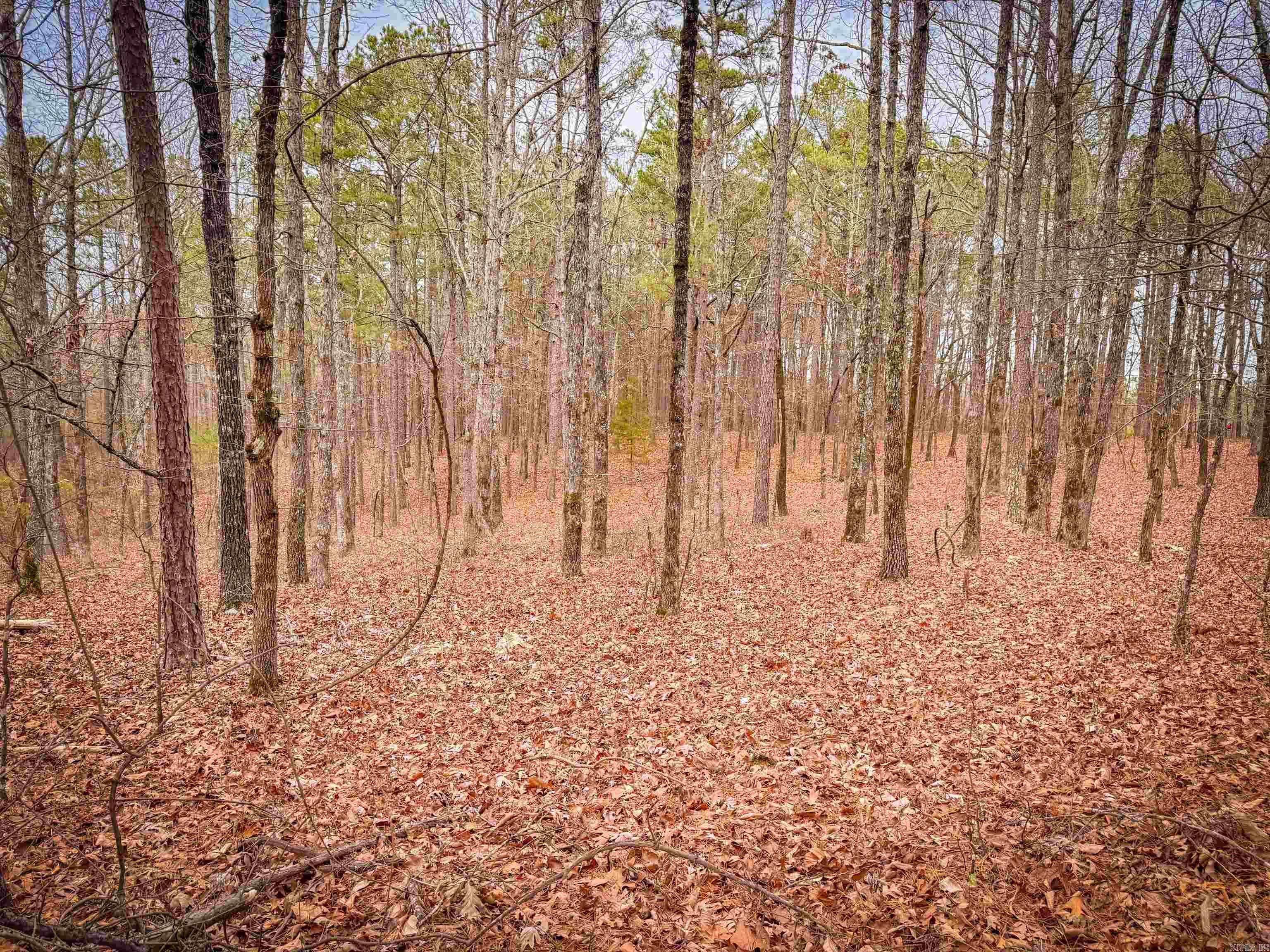 00 Heather Ridge  Bigelow, AR