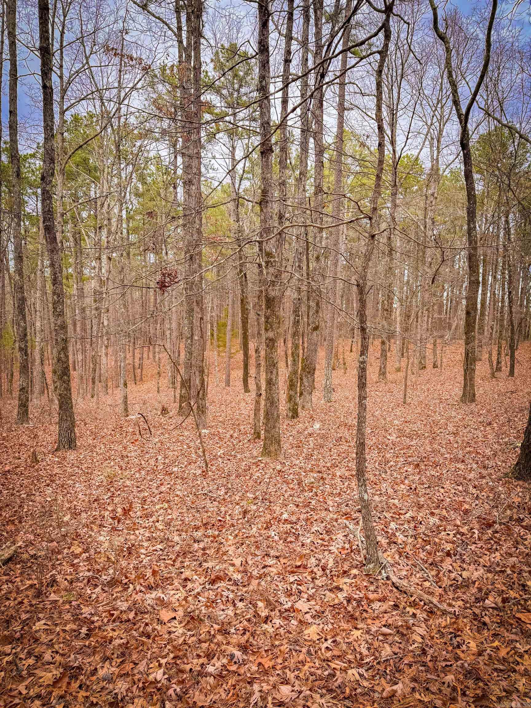 00 Heather Ridge  Bigelow, AR