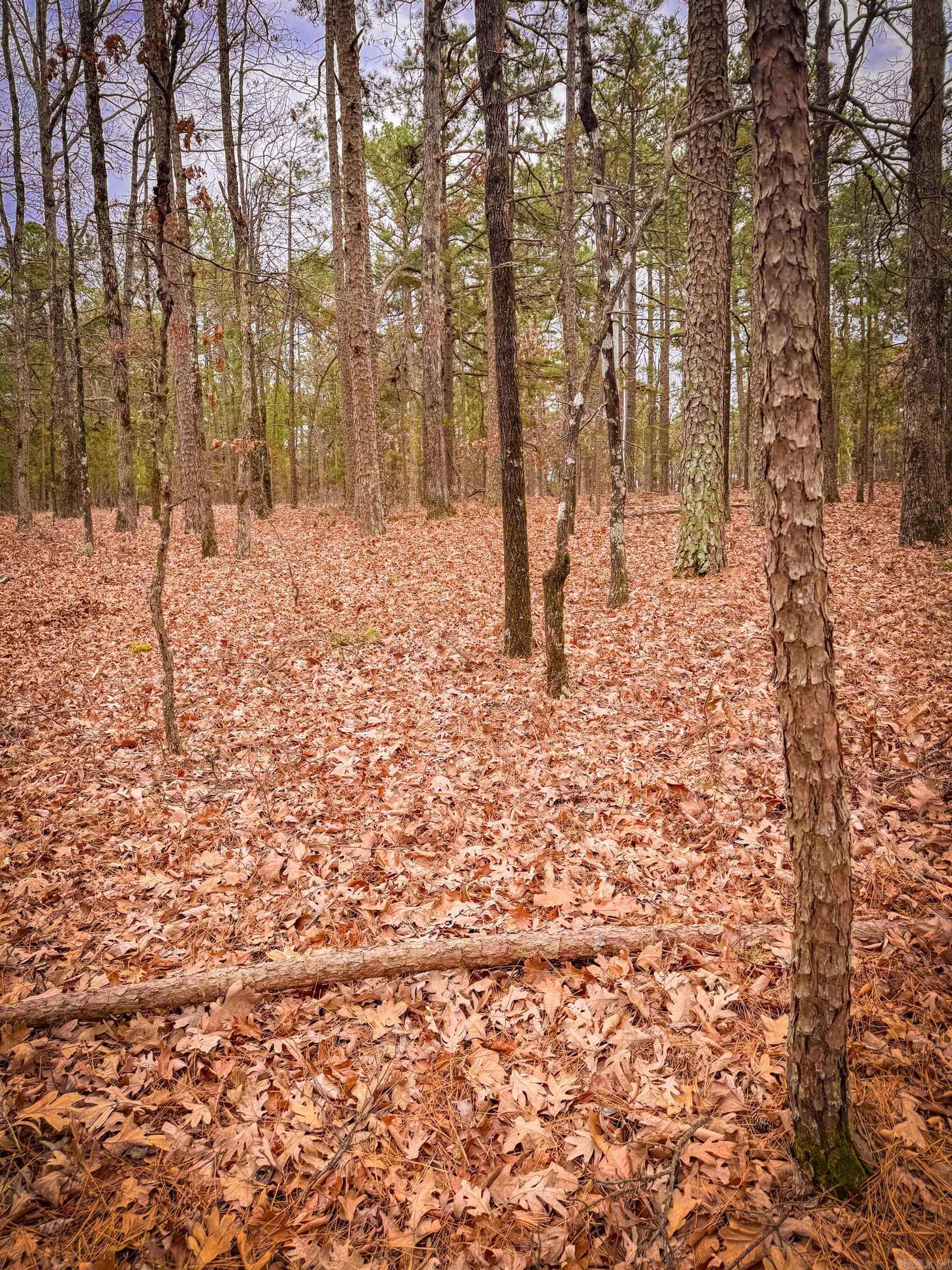 00 Heather Ridge  Bigelow, AR