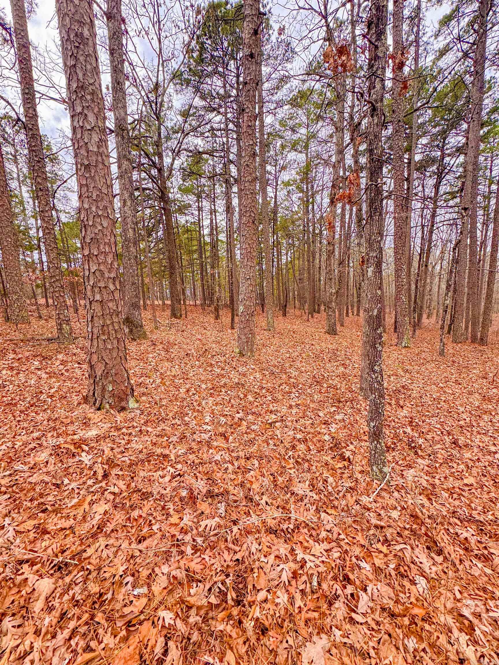 00 Heather Ridge  Bigelow, AR