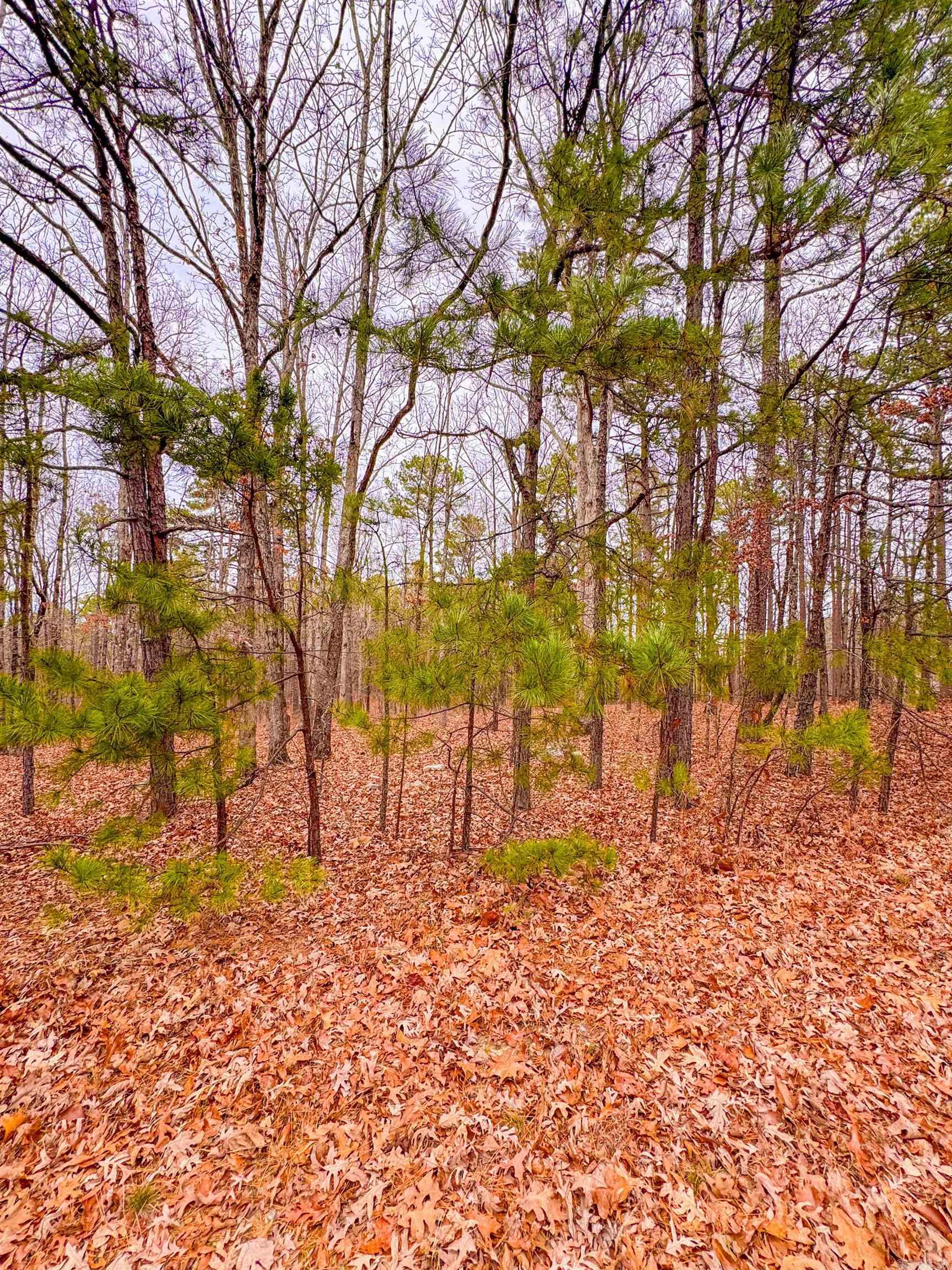 00 Heather Ridge  Bigelow, AR