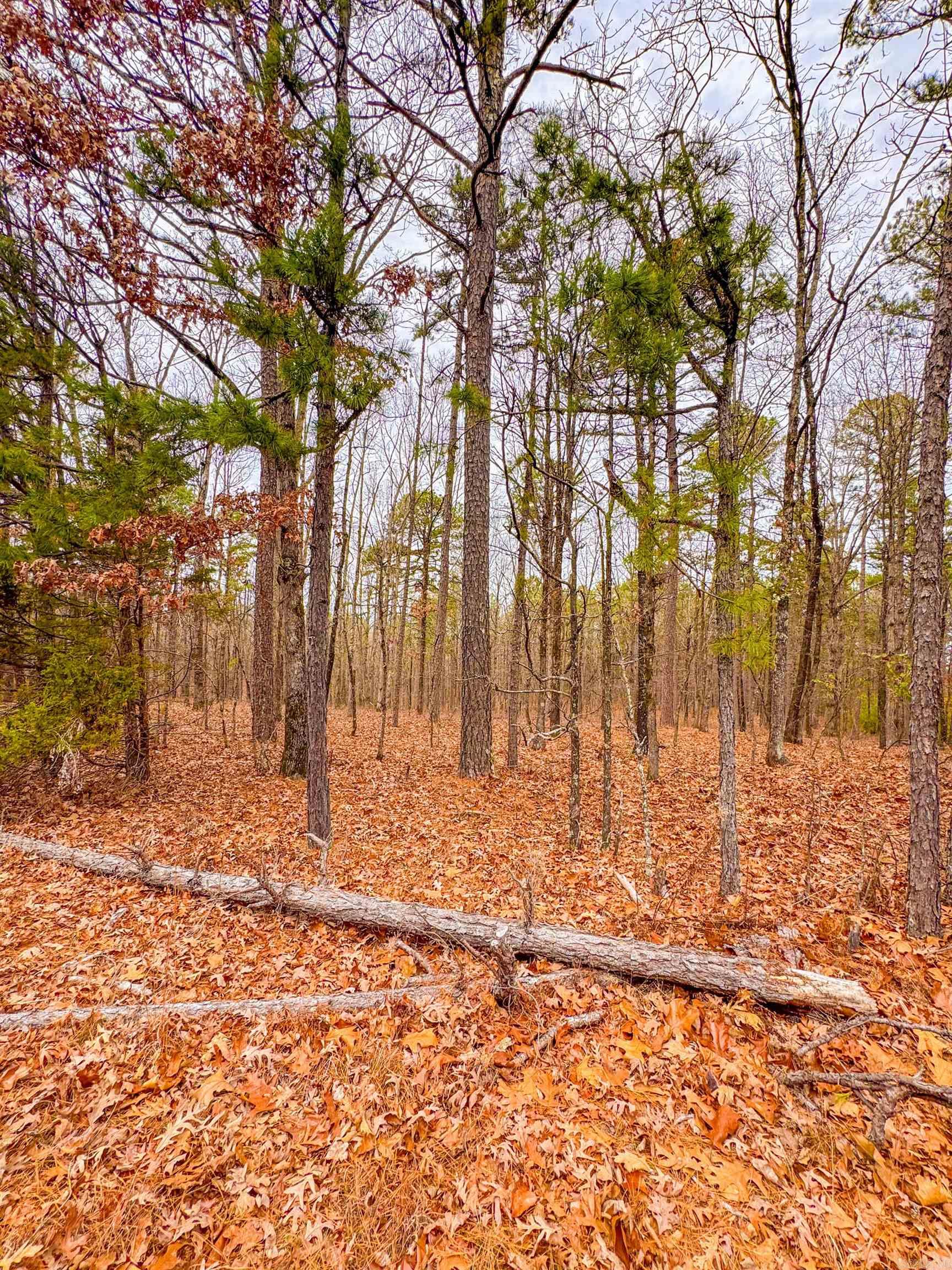 00 Heather Ridge  Bigelow, AR