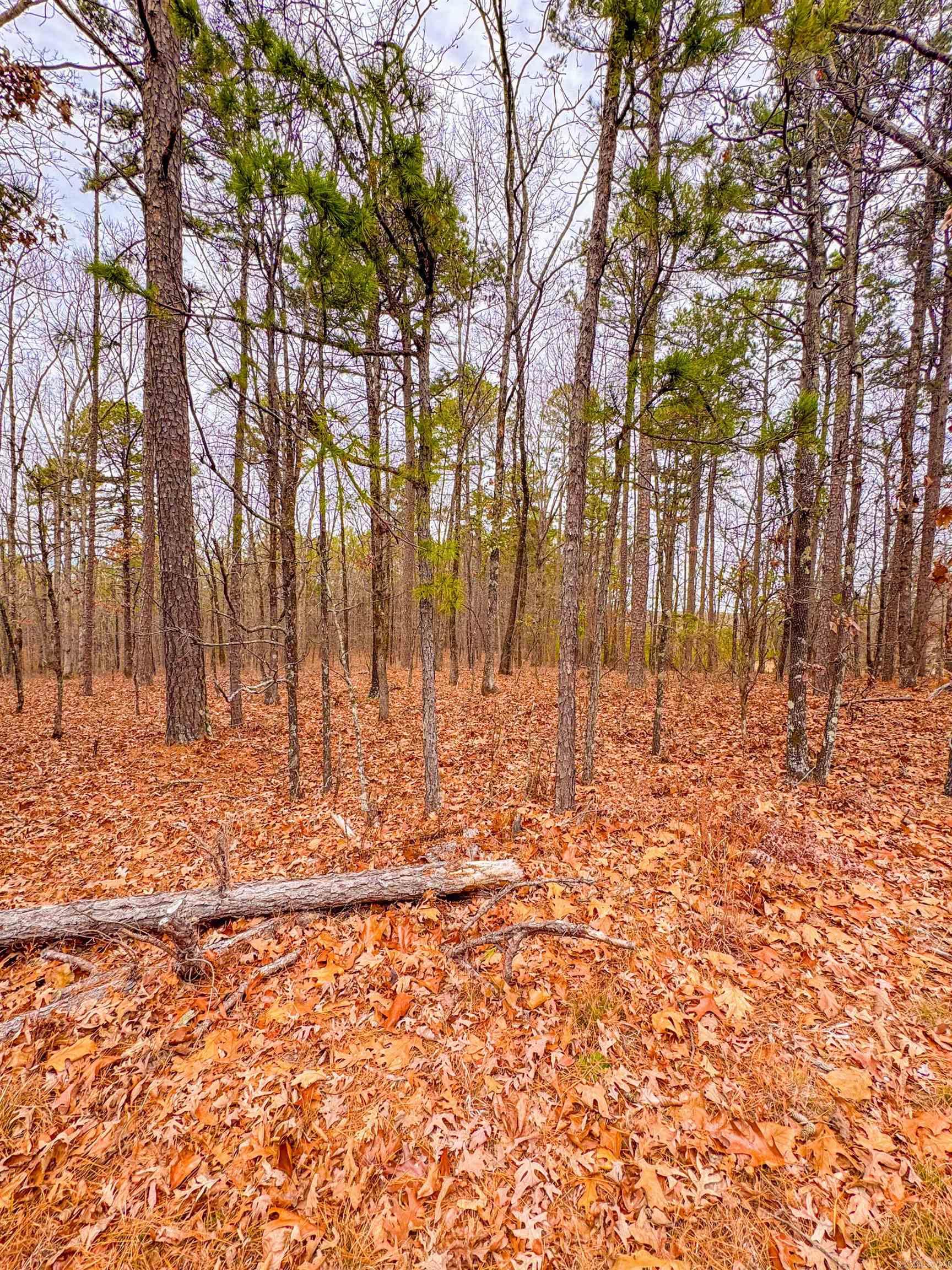 00 Heather Ridge  Bigelow, AR