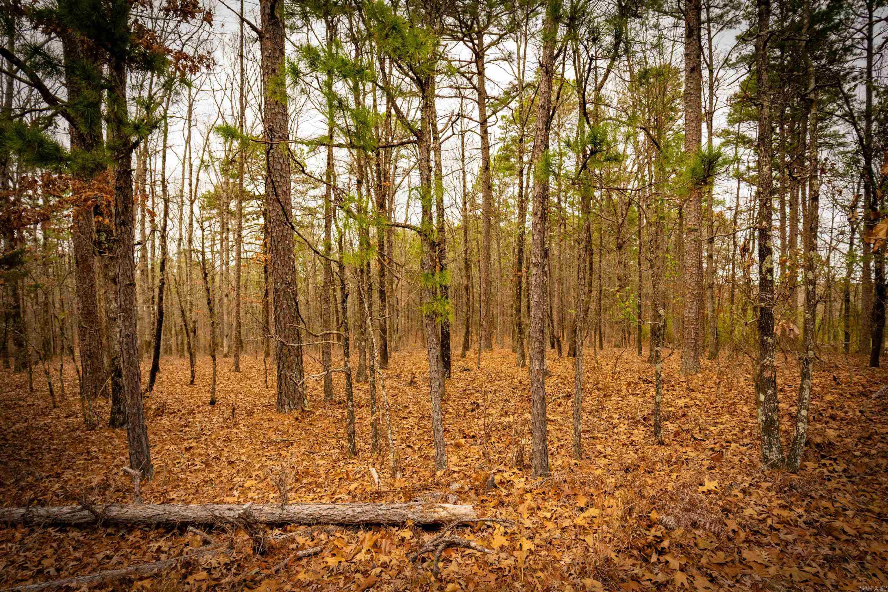 00 Heather Ridge  Bigelow, AR