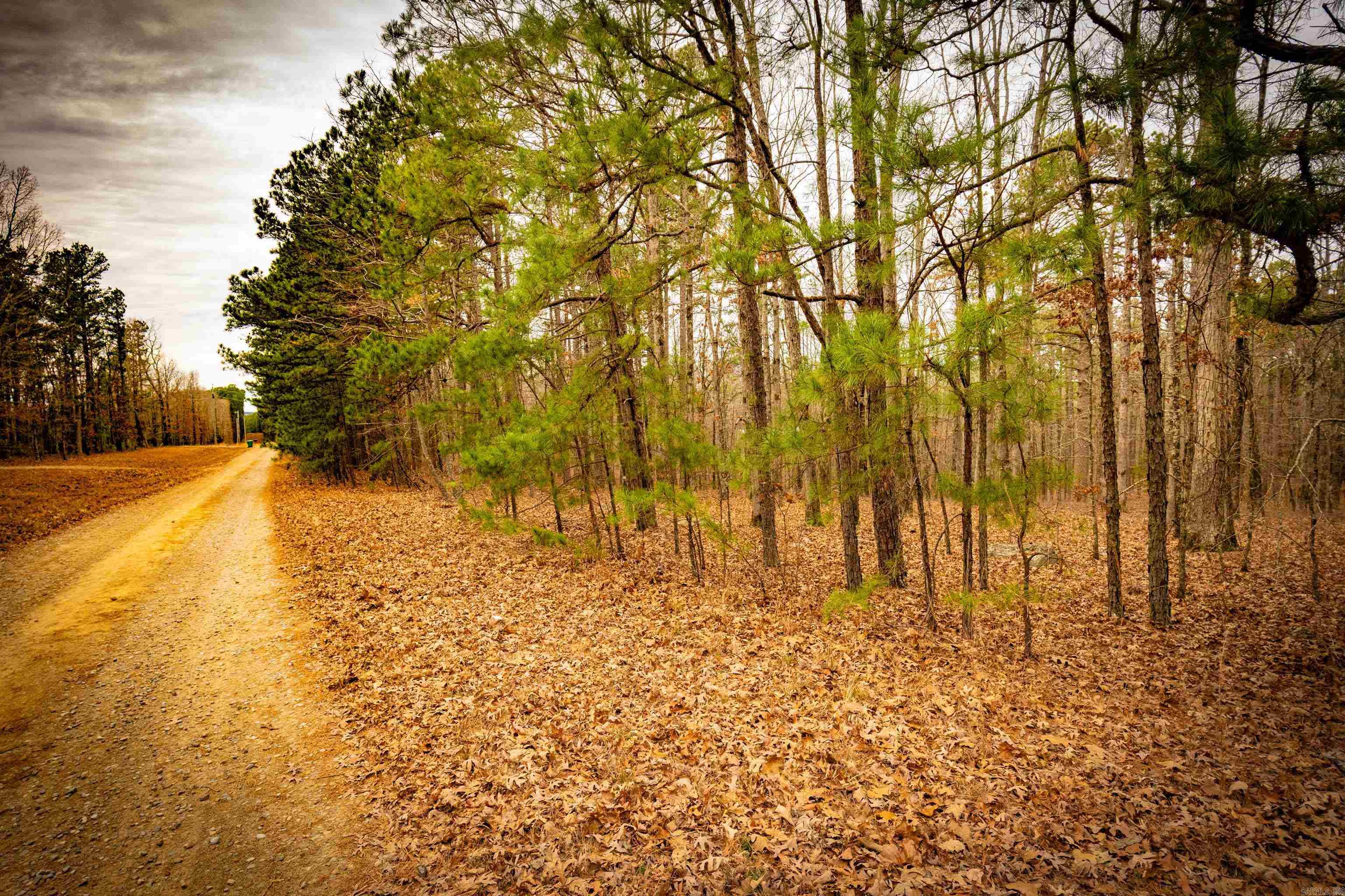 00 Heather Ridge  Bigelow, AR