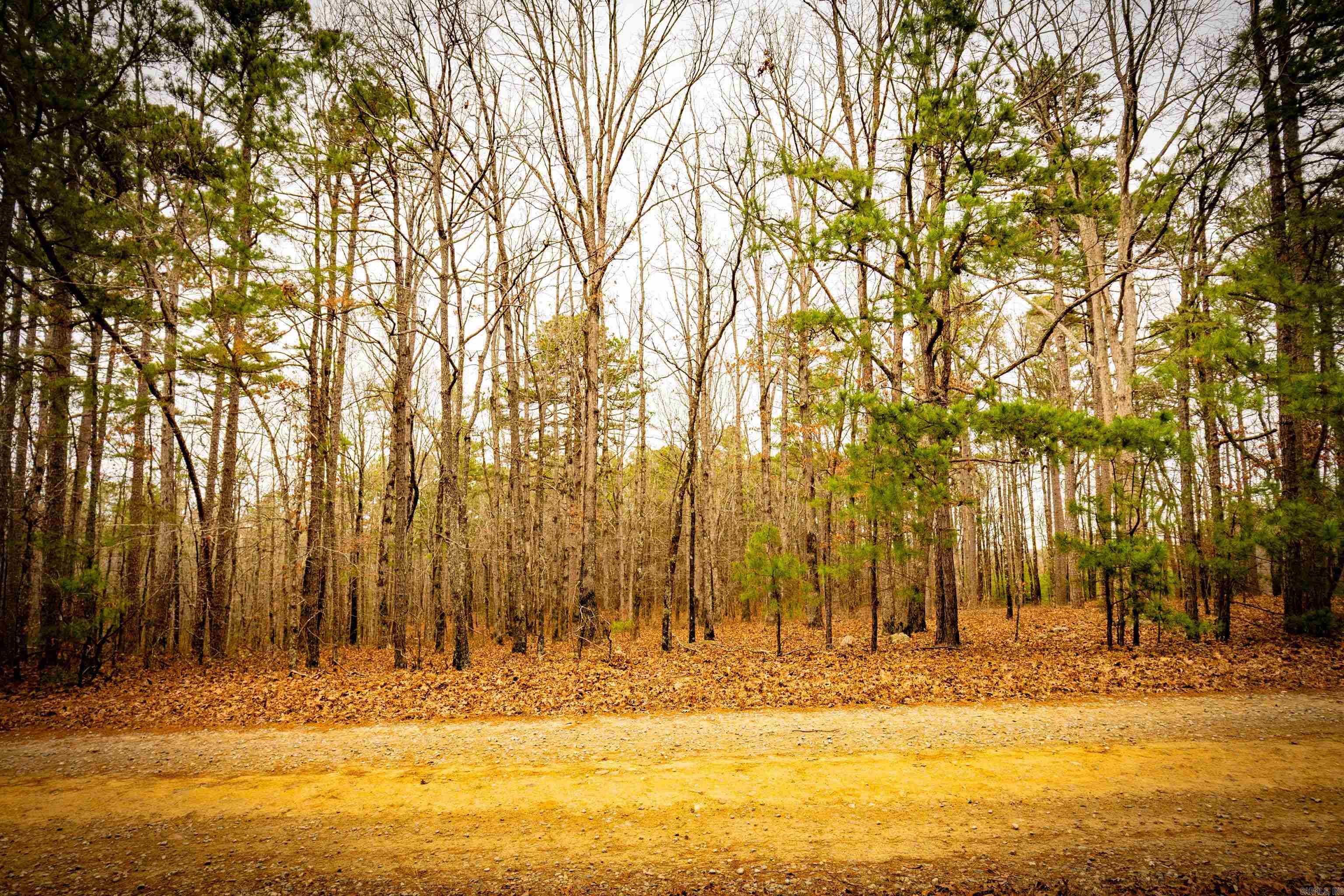 00 Heather Ridge  Bigelow, AR